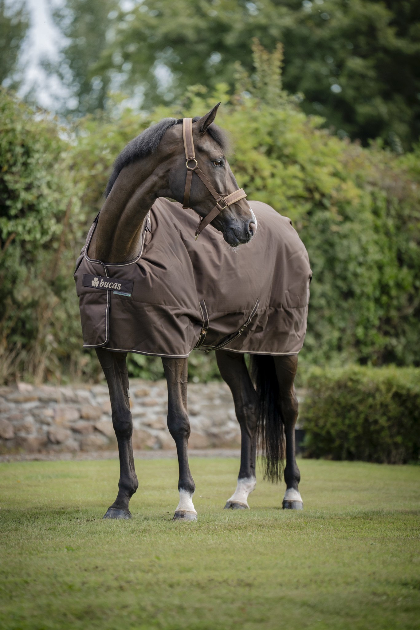 Outdoordecke Irish Turnout 300 g in Espresso