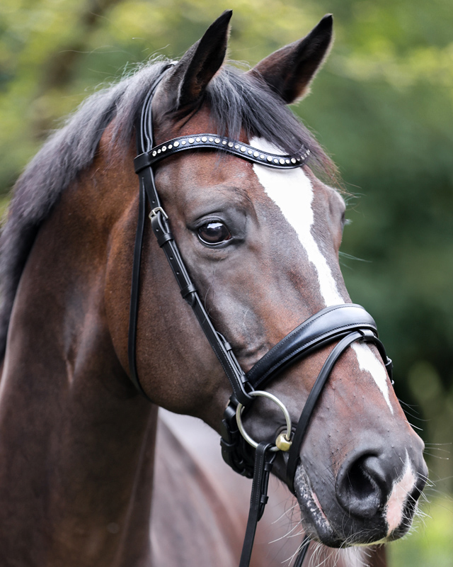 Trense "Mia" schwed.-komb.