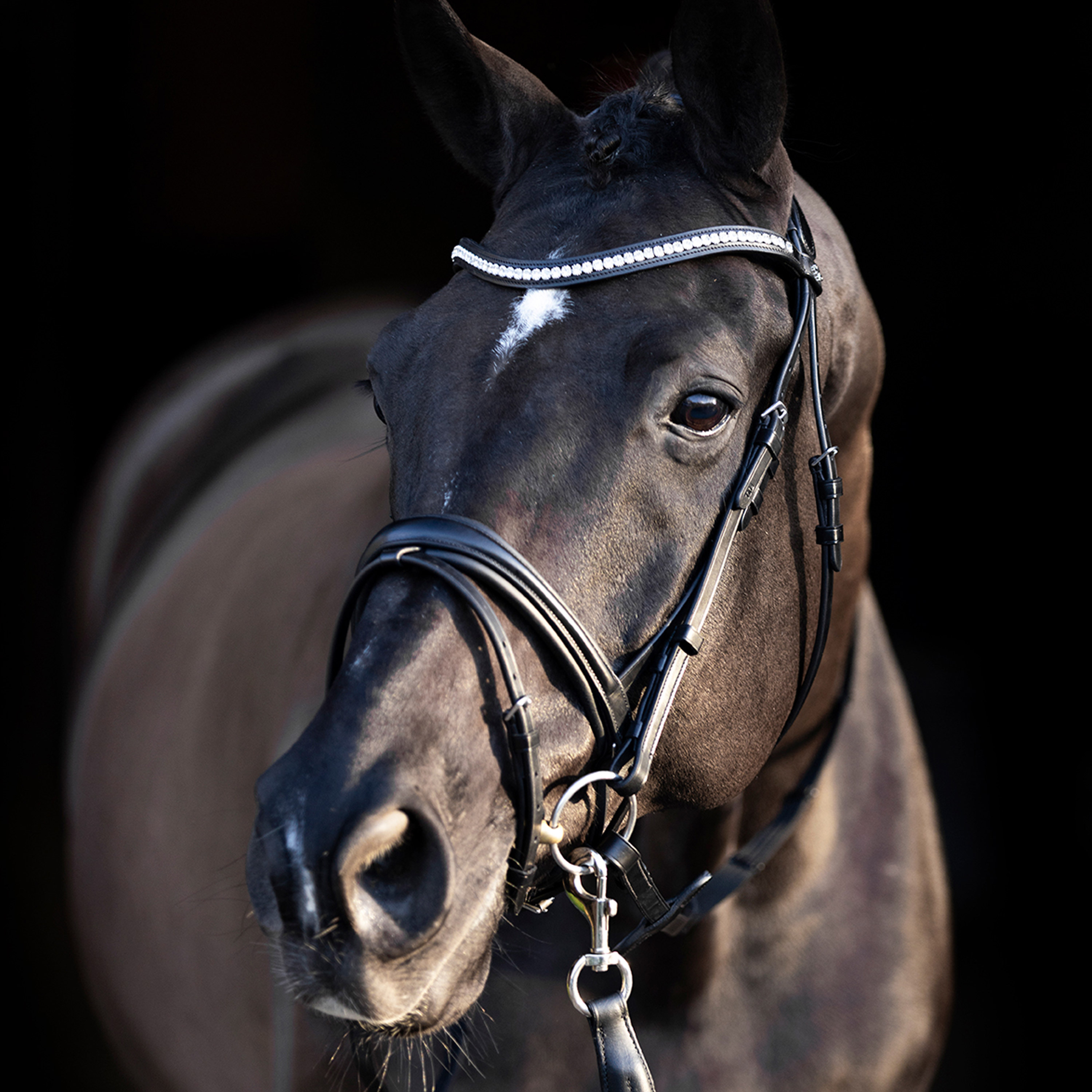 Trense Legacy deluxe