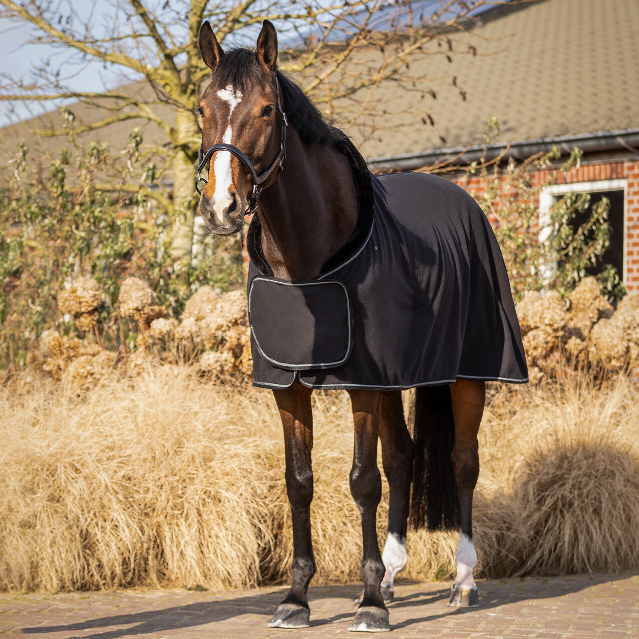 Abschwitzdecke Salerno