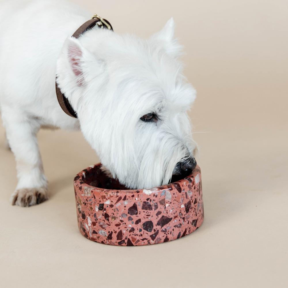 Schale Terrazzo Stein | Kentucky Dogwear