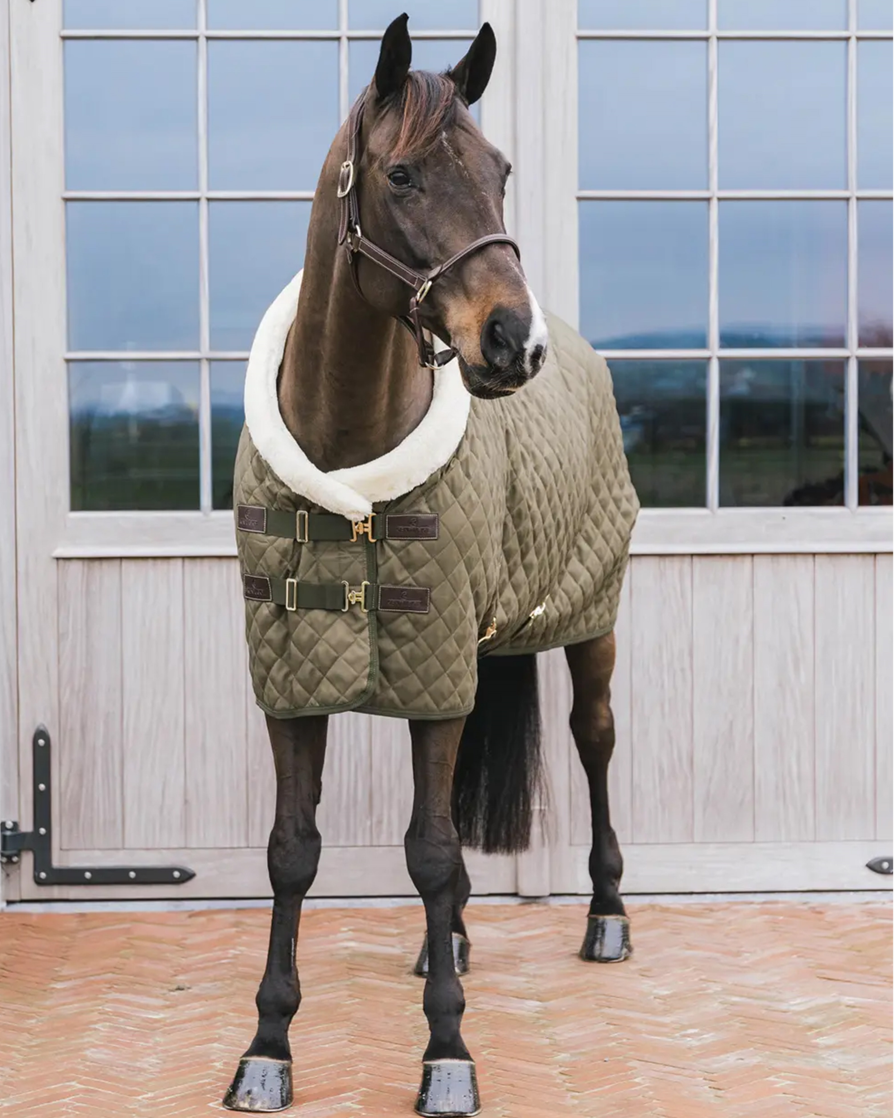 Show rug 160g Showrug in khaki