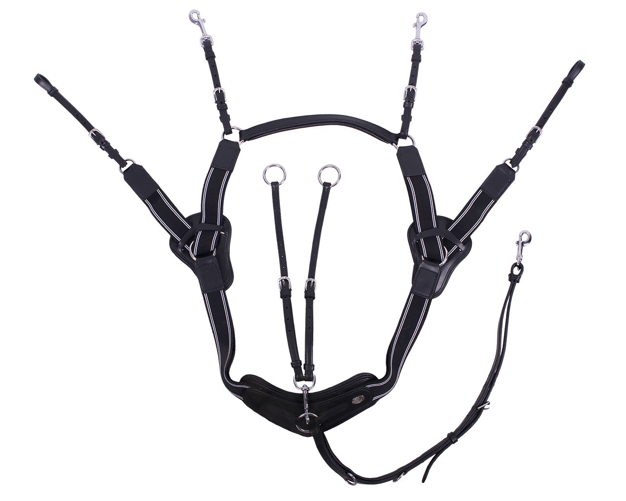 Sedna muzzle