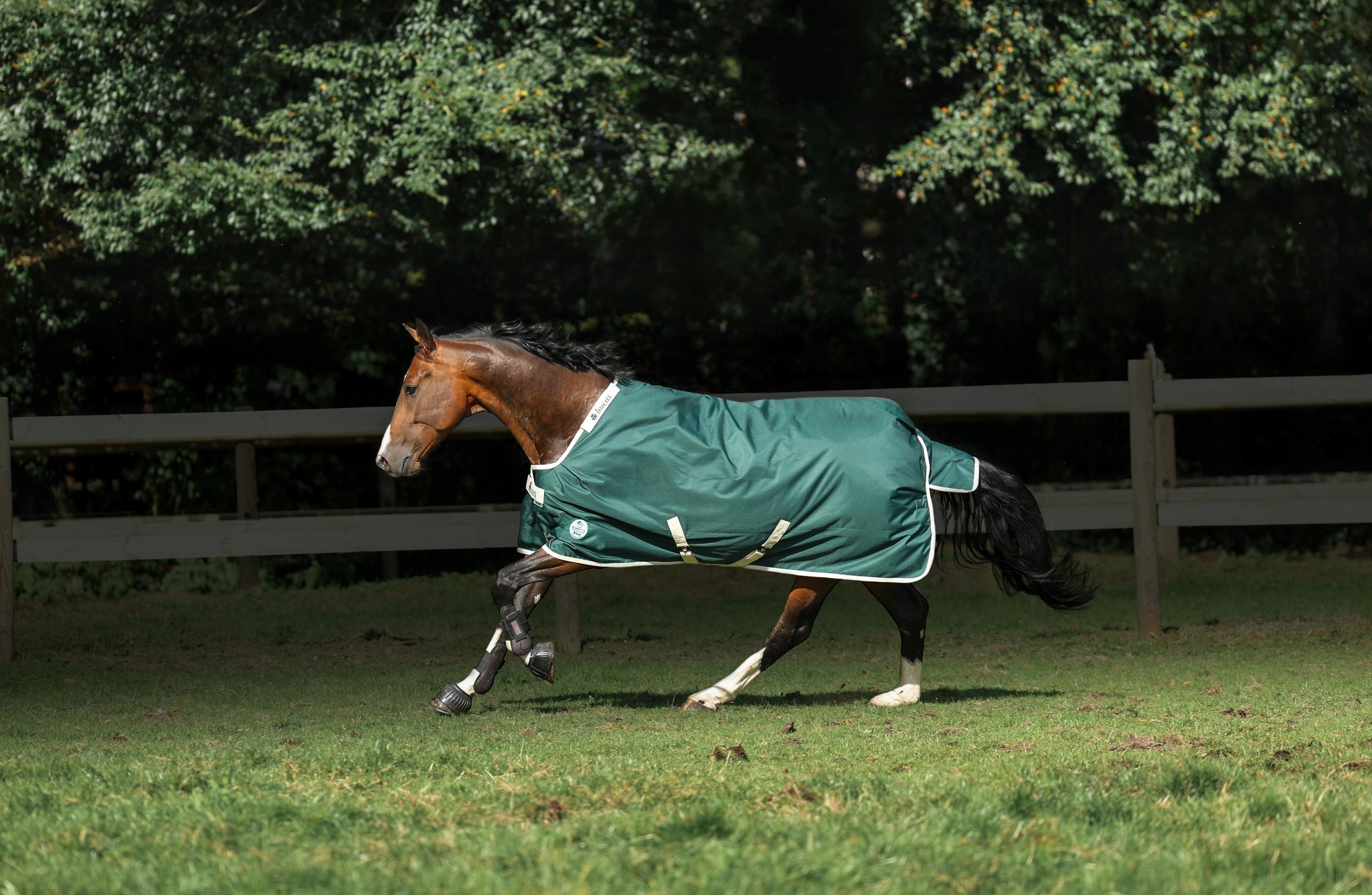 Halsteil Green-Line Combi Neck in Green/cream