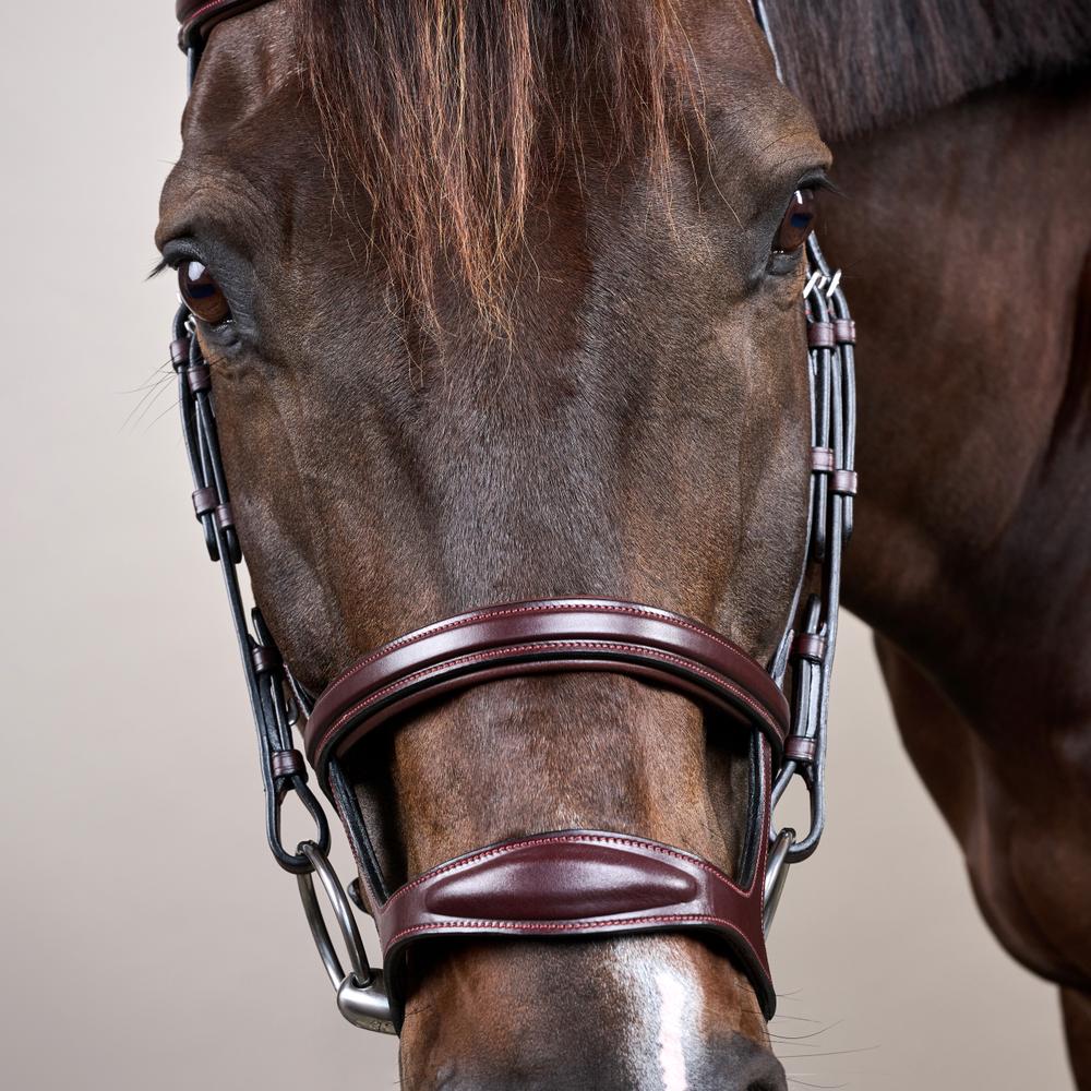 Trense mit Doppelreithalfter NE