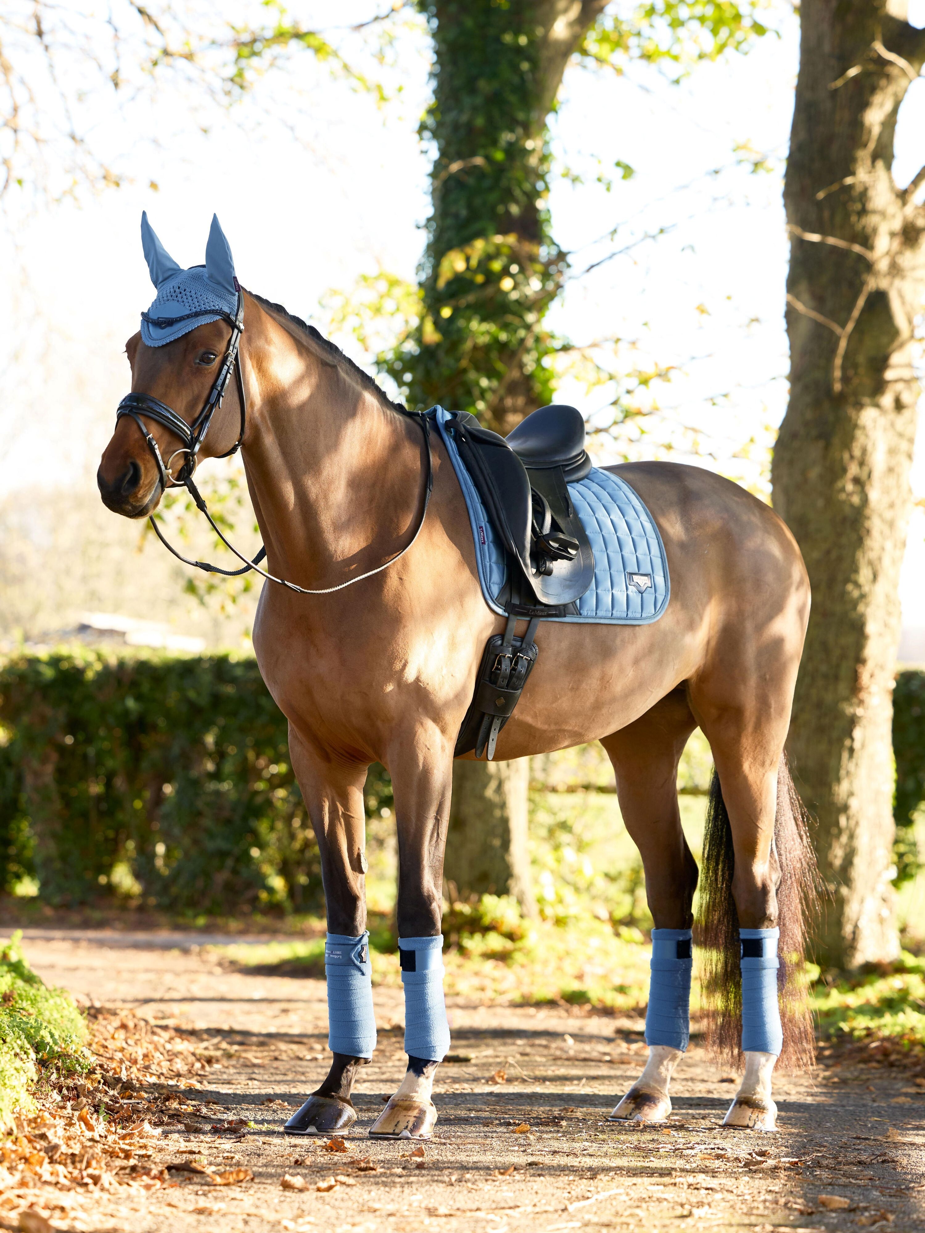 Loire dressuurzadeldek Ice Blue
