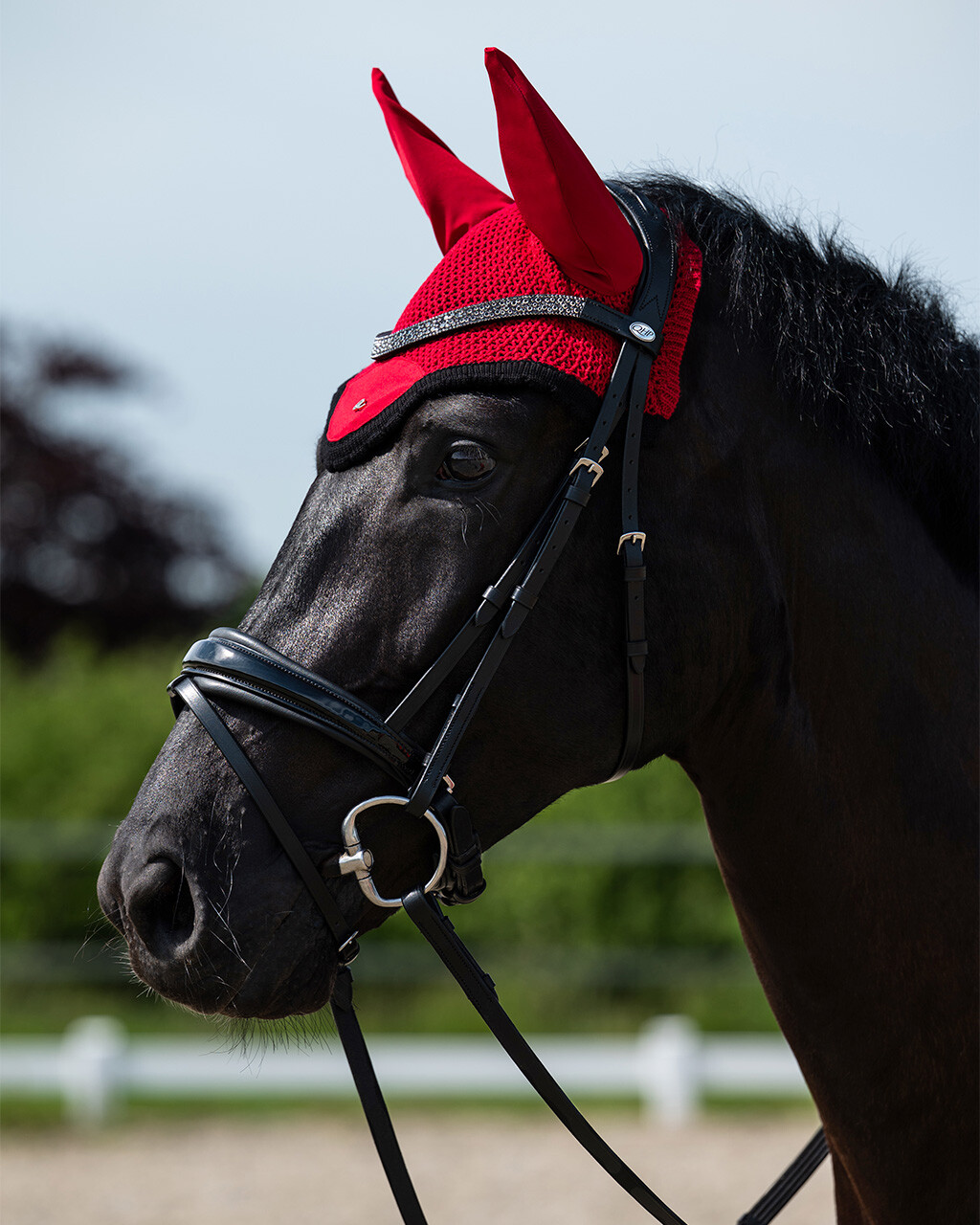 Trense Lagos inkl. Zügel