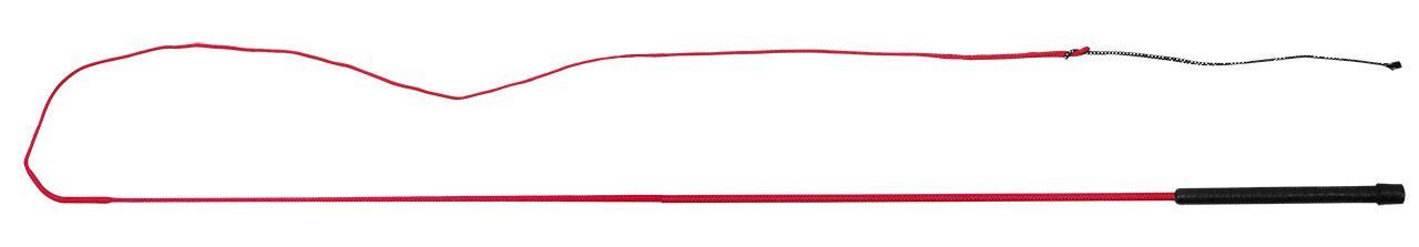 Longier Peitschen