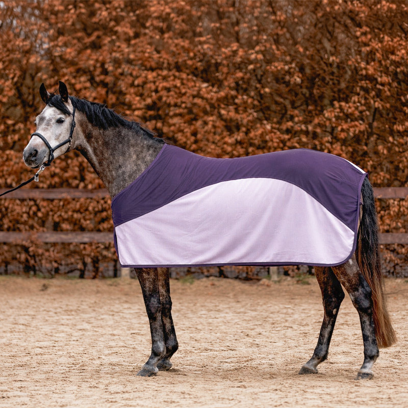 Fly rug "Aeris"