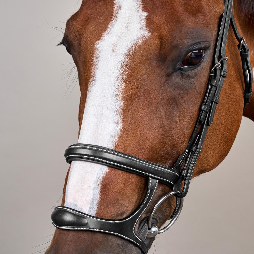 Trense mit Doppelreithalfter US