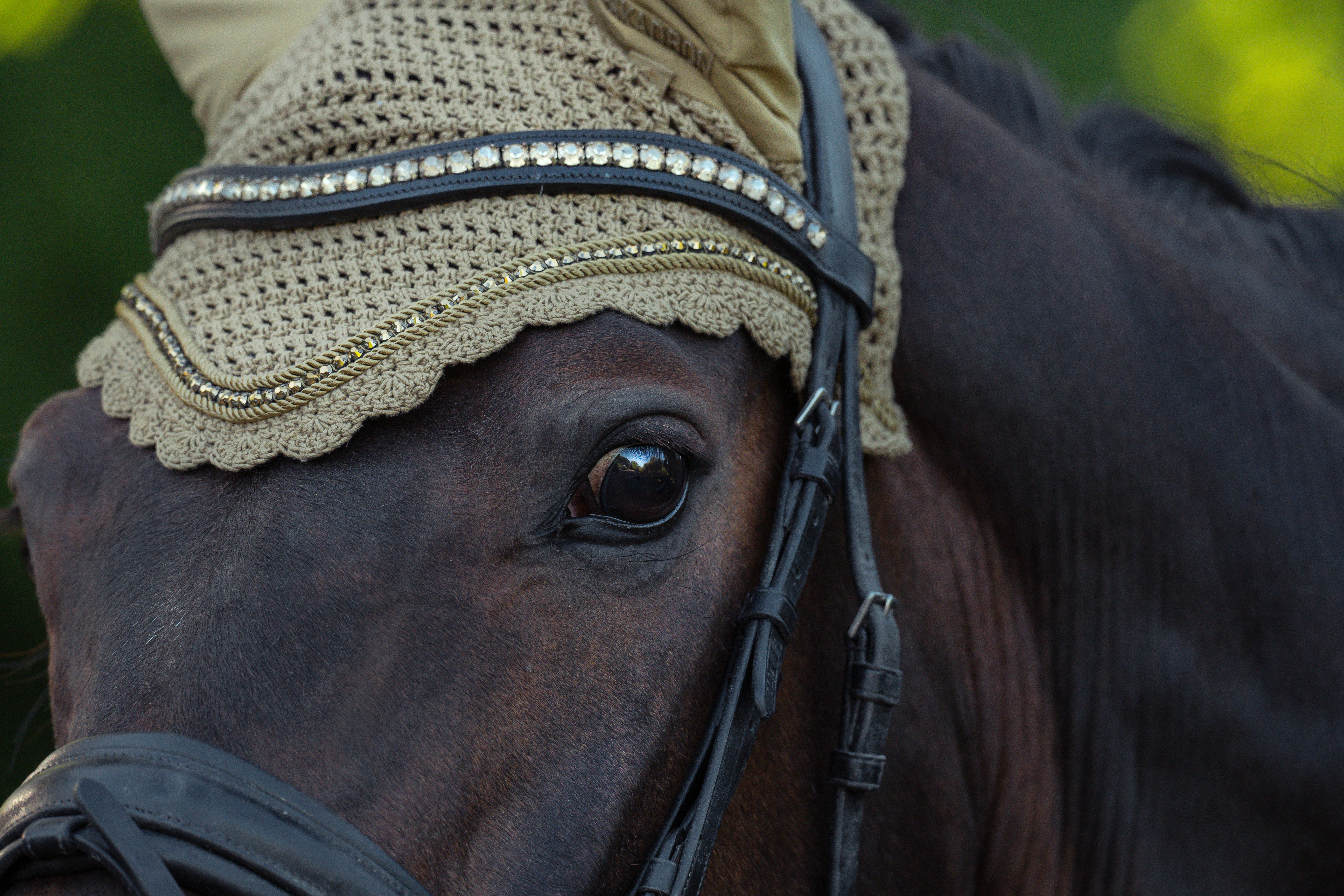 Fliegenohren Heritage Jewel