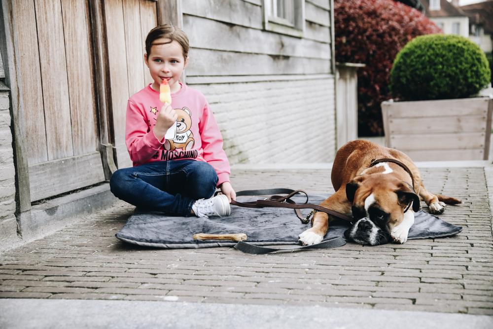 Hundebett Travel In Style | Kentucky Dogwear