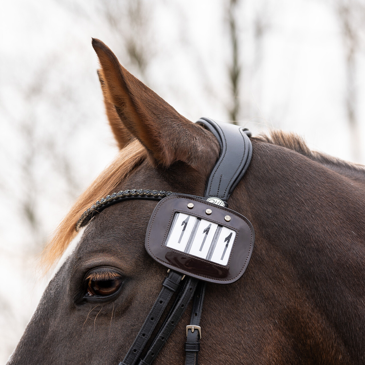 Race number holder (pack of 2)