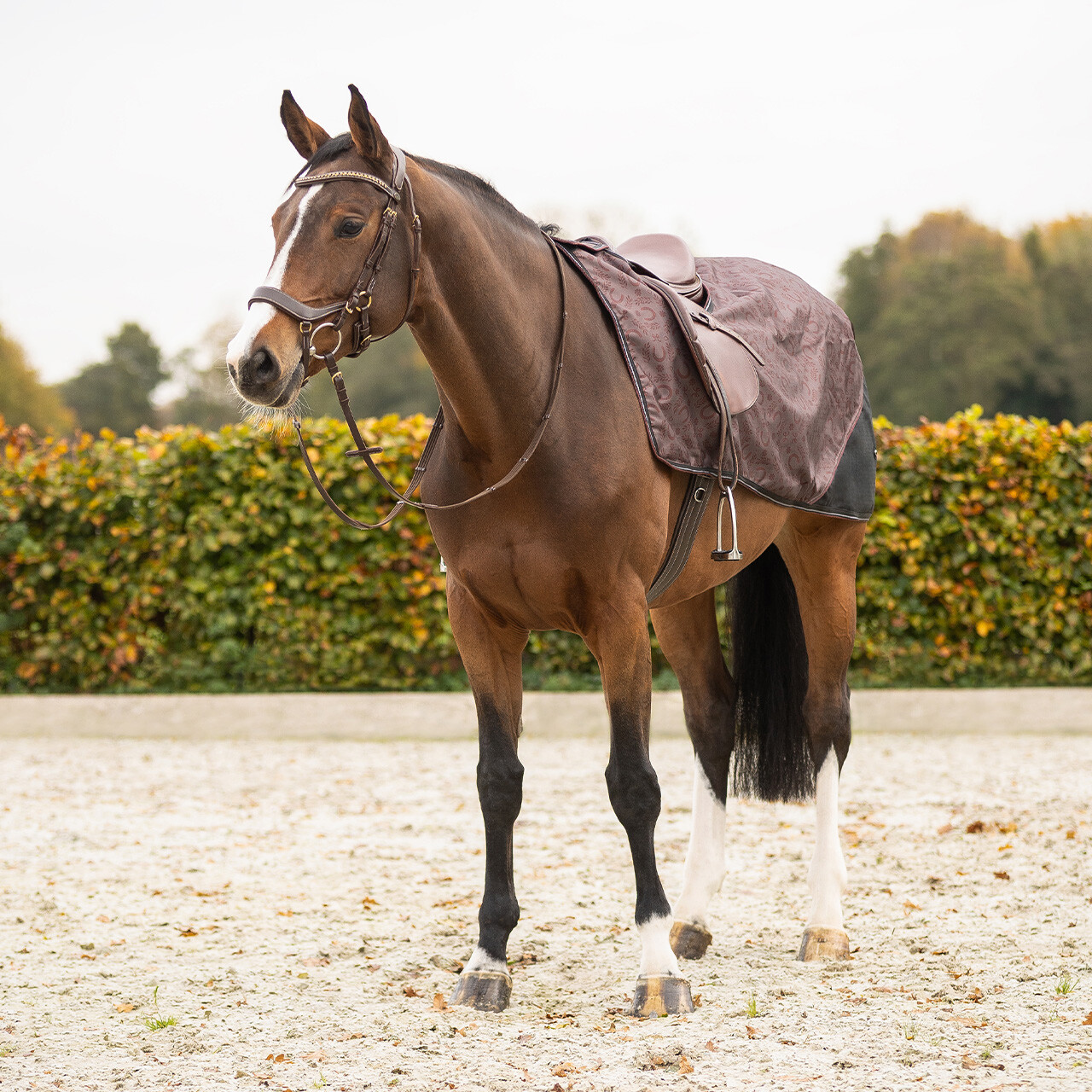 Ausreitdecke 1200D Turnout Collection Fleece