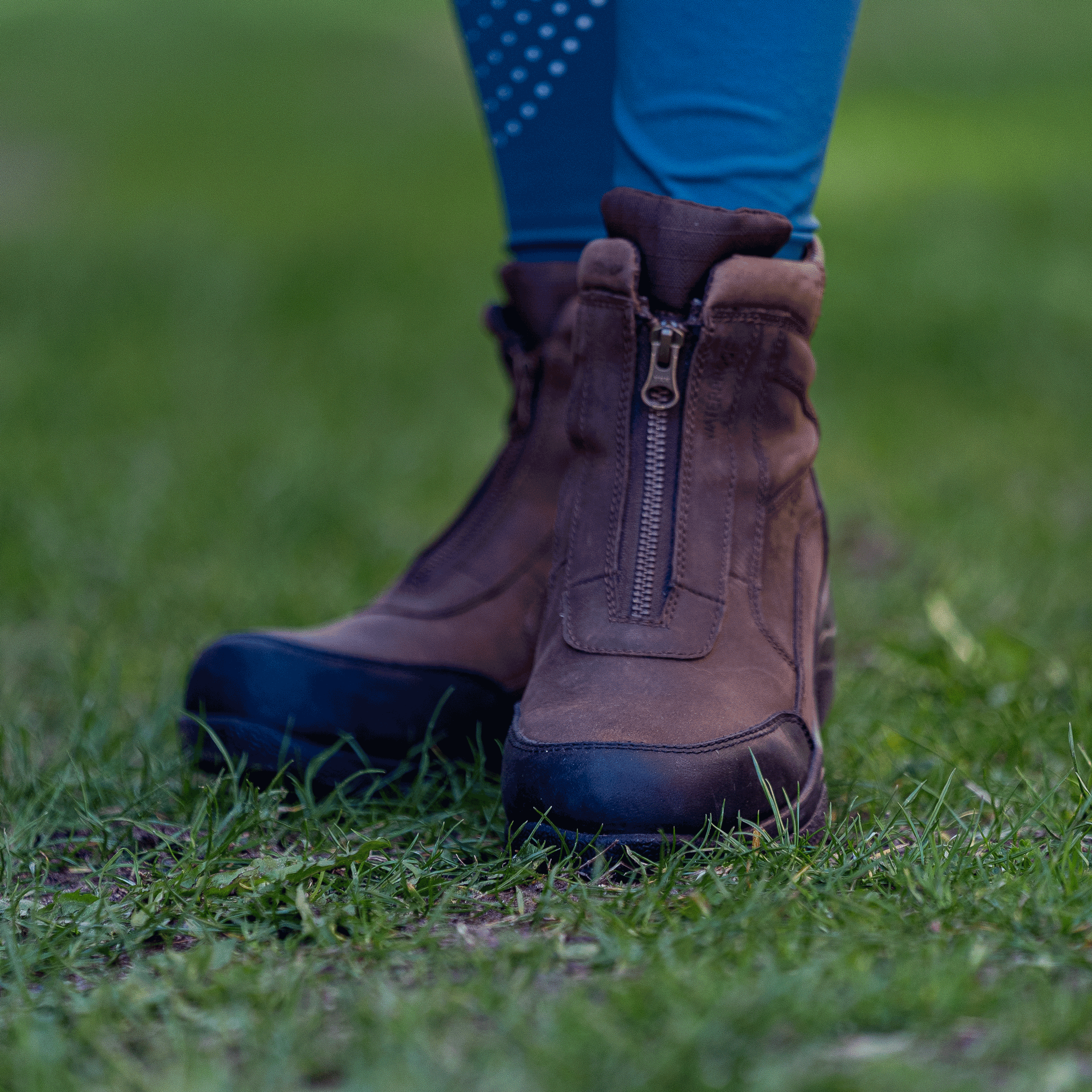 Riding and stable shoe ZIP IT WP