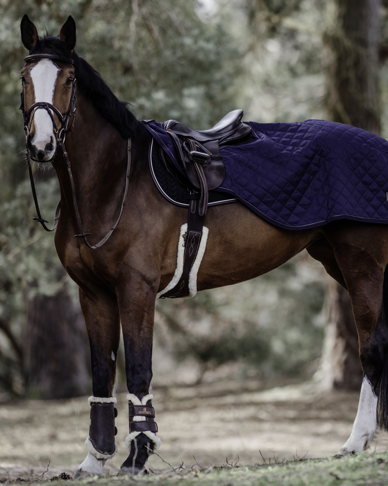Riding rug 160g