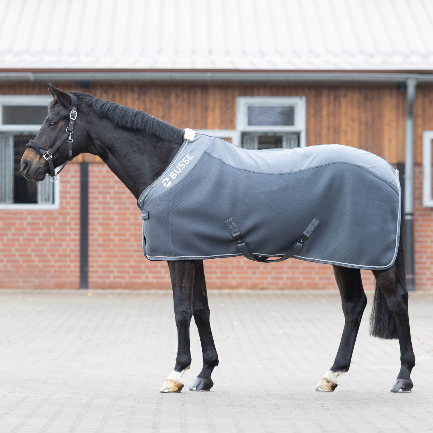 3D Air Fleece Premium sweat rug
