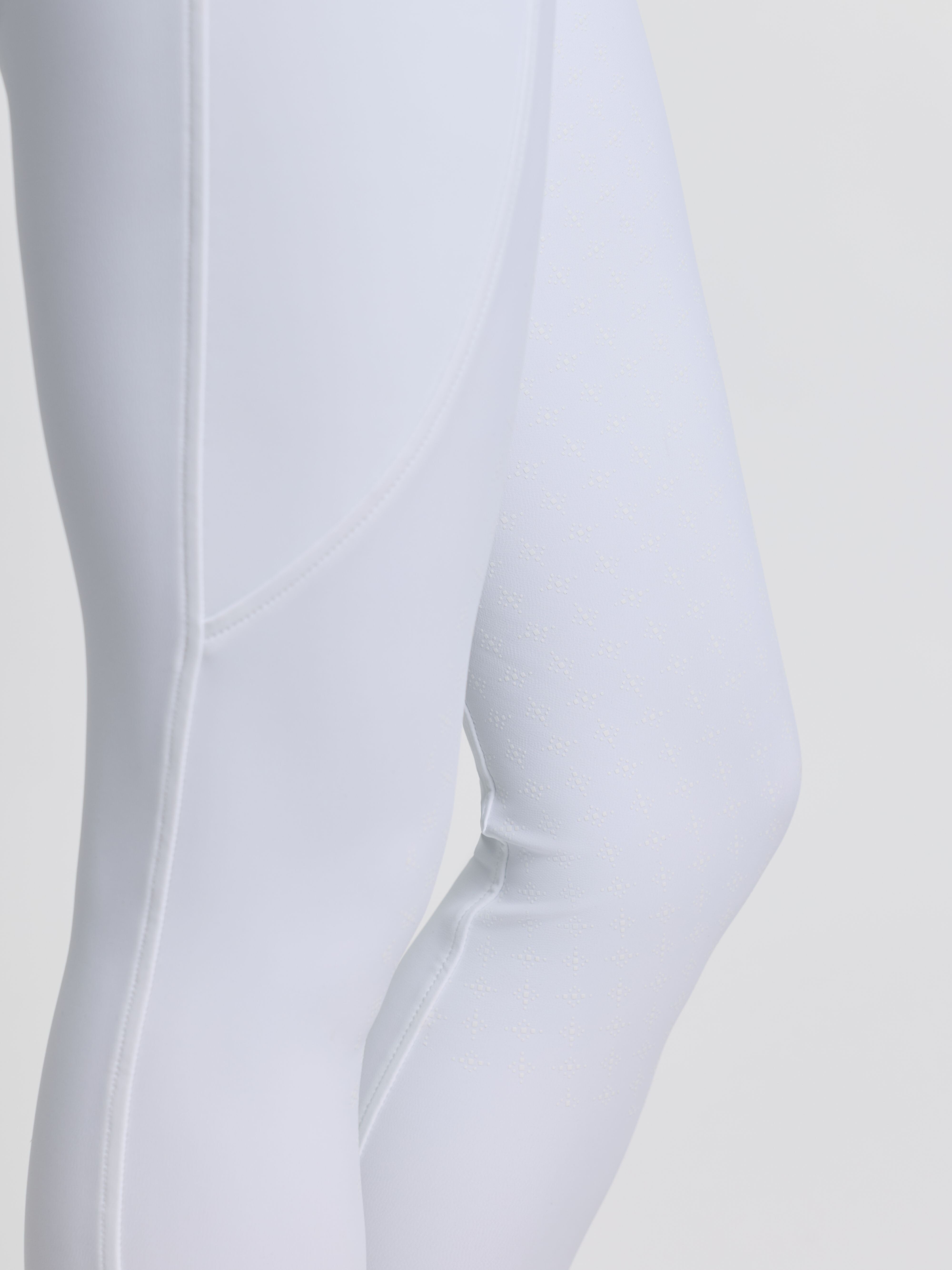 Brilliance Reithose mit Vollbesatz