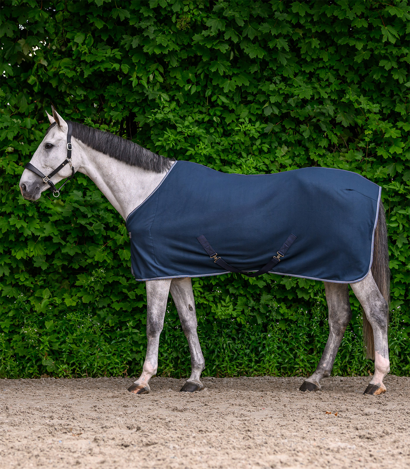 ECONOMIC Fleece rug w. cross surcingles, black