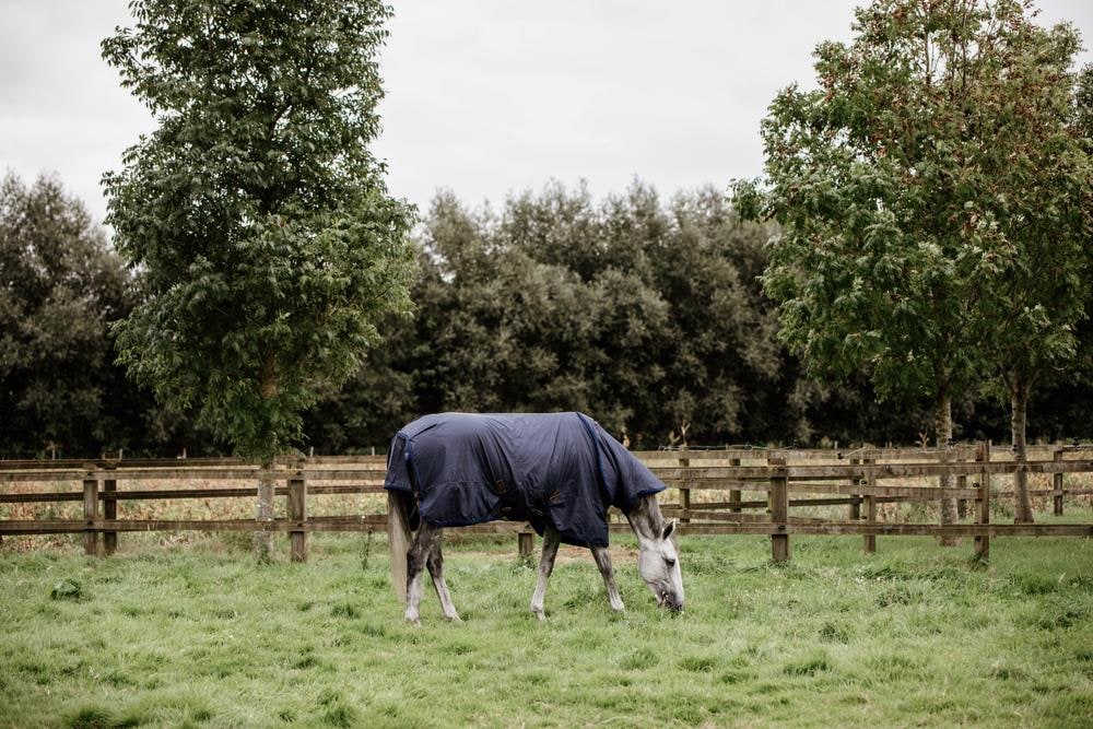 Halsteil All Weather Hurricane