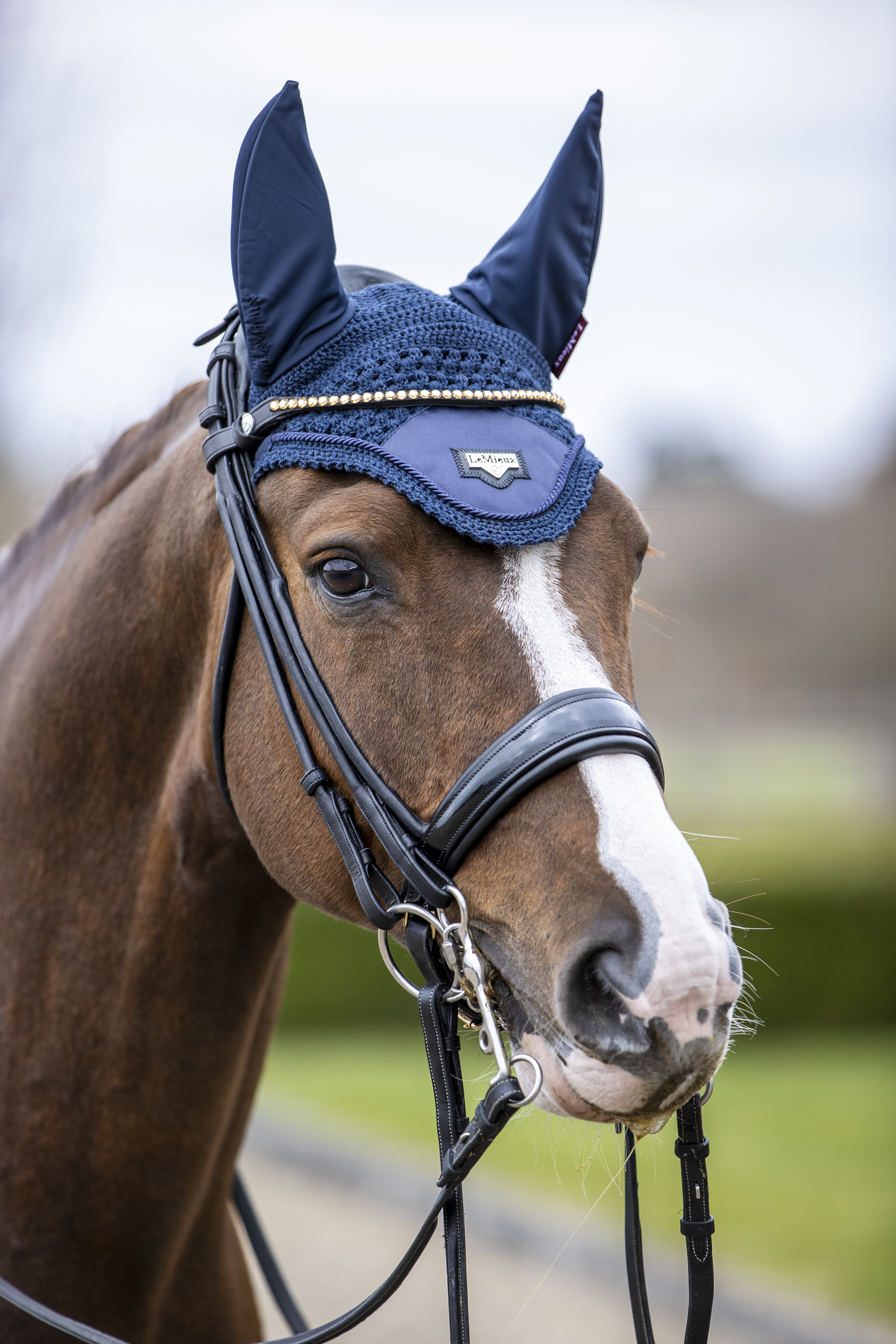 Loire ear bonnet
