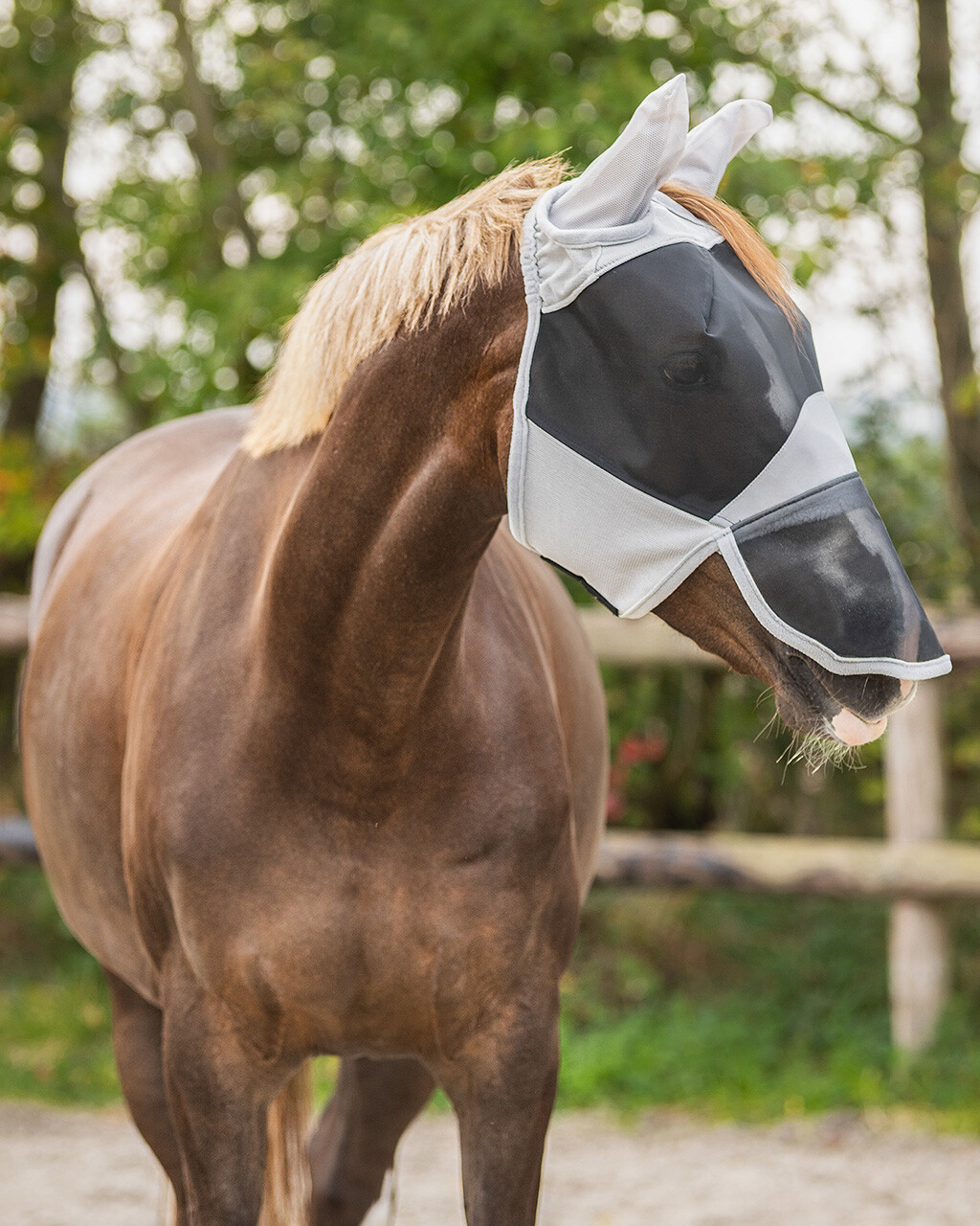 Solaire fly mask Solaire fly mask
