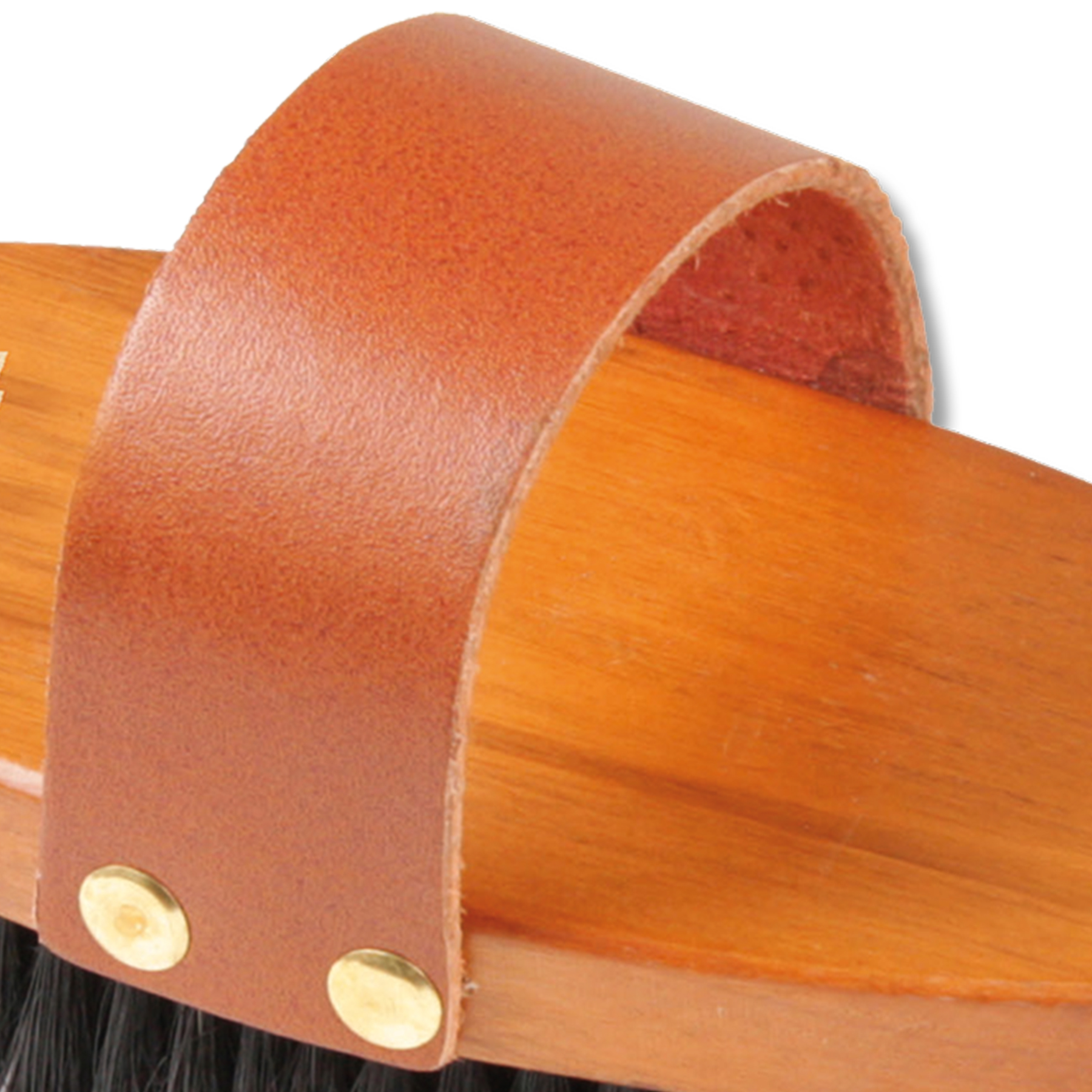 HW Kardätsche 19 cm, harte Borsten 3 cm