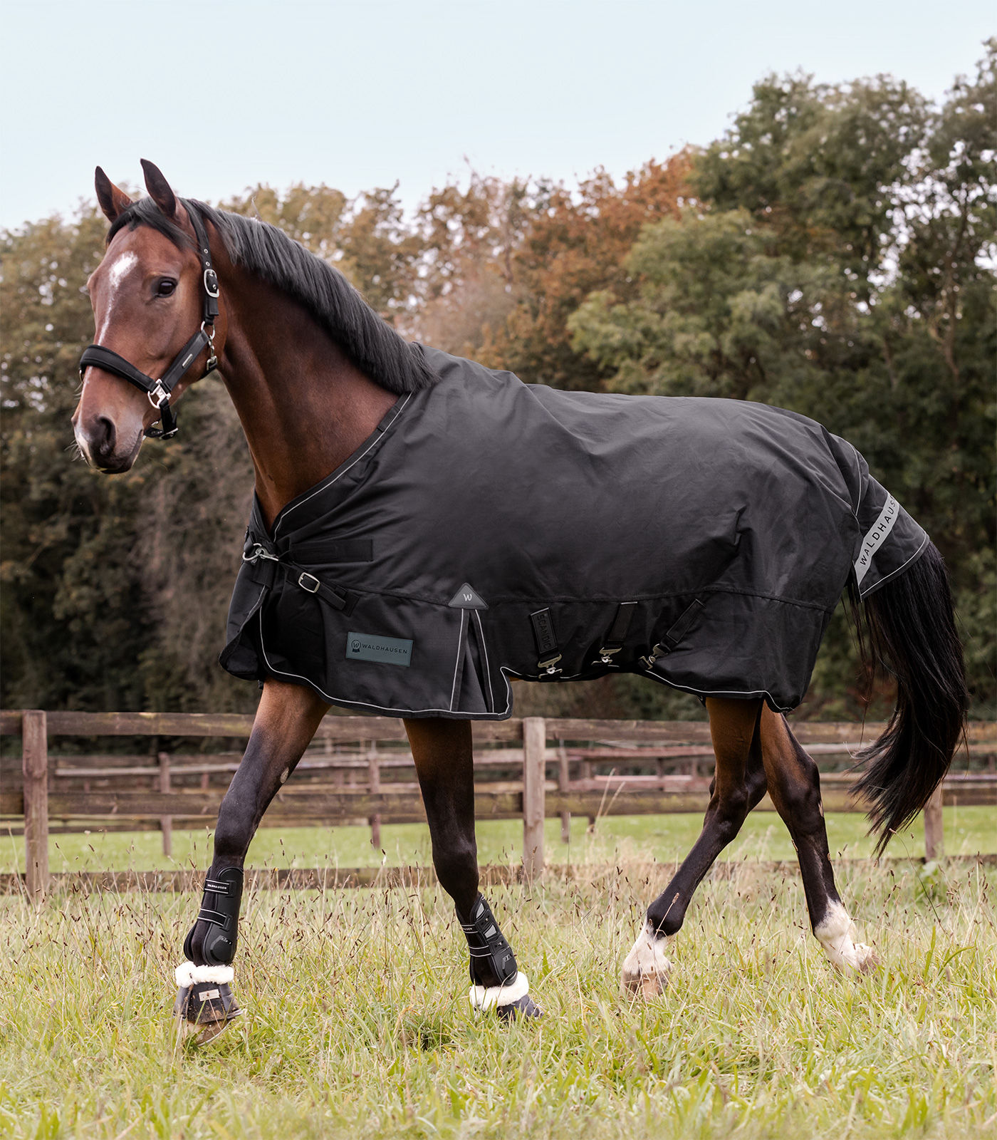 Outdoor blanket Scandic, 50g