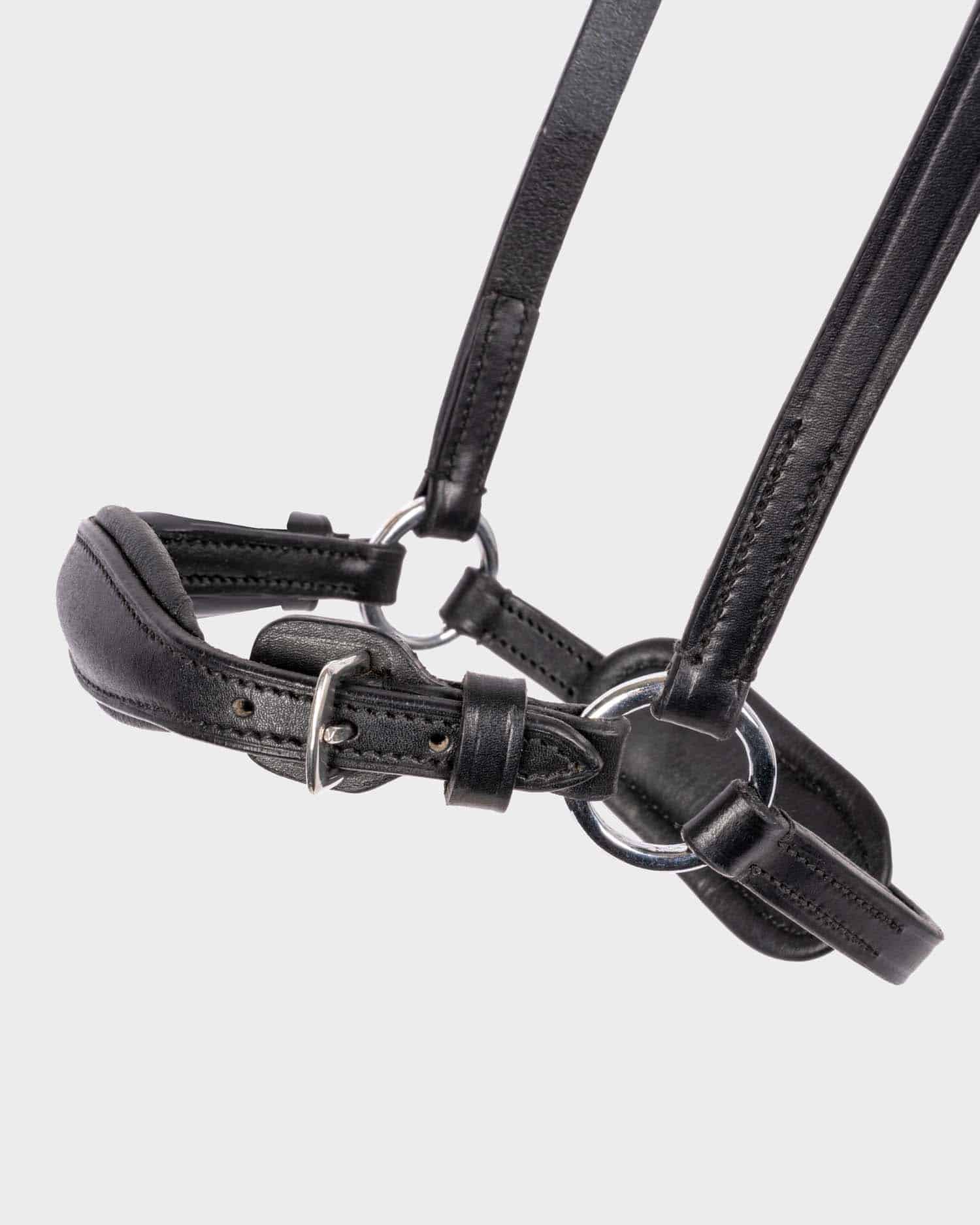 Snaffle "Fiala" hann.