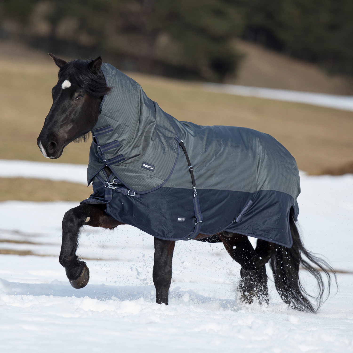 Outdoordecke Active Pro 150