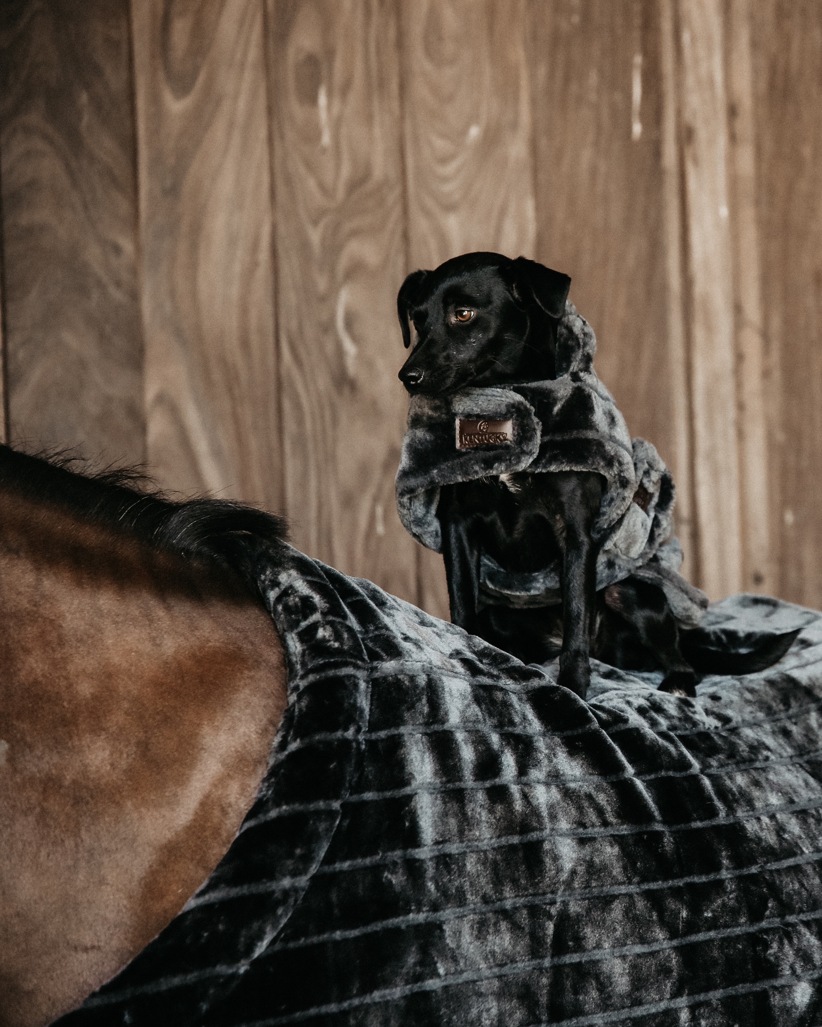 Stable rug fake fur