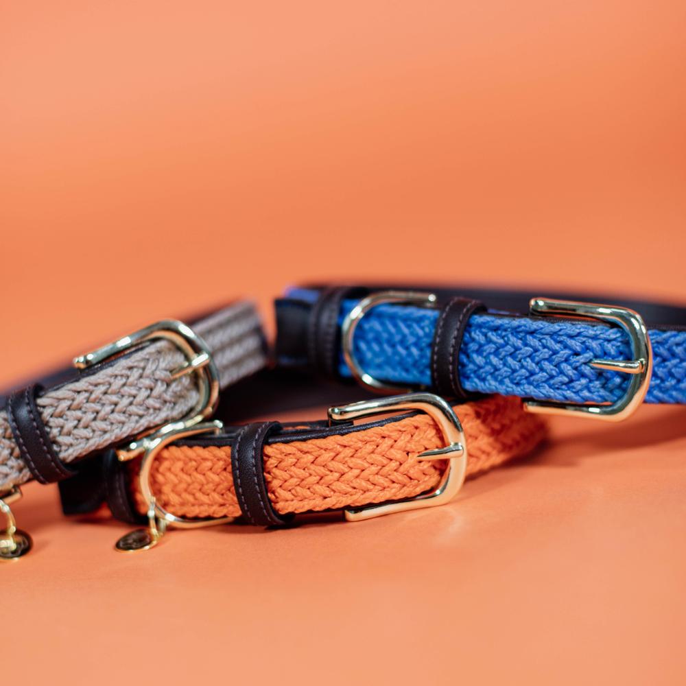 Collier de chien tressé en nylon
