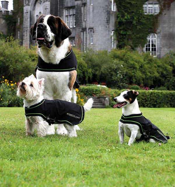 Sportz-Vibe dog blanket in black/green