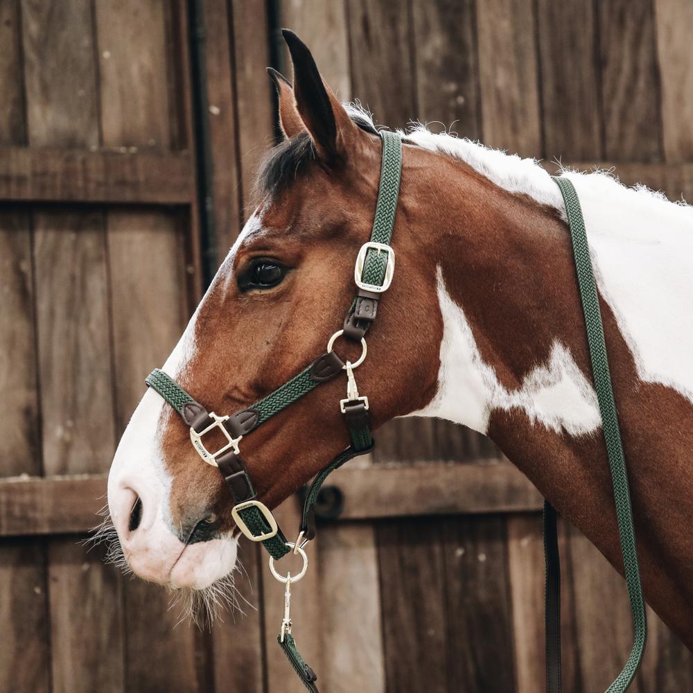 Halter Braided Nylon
