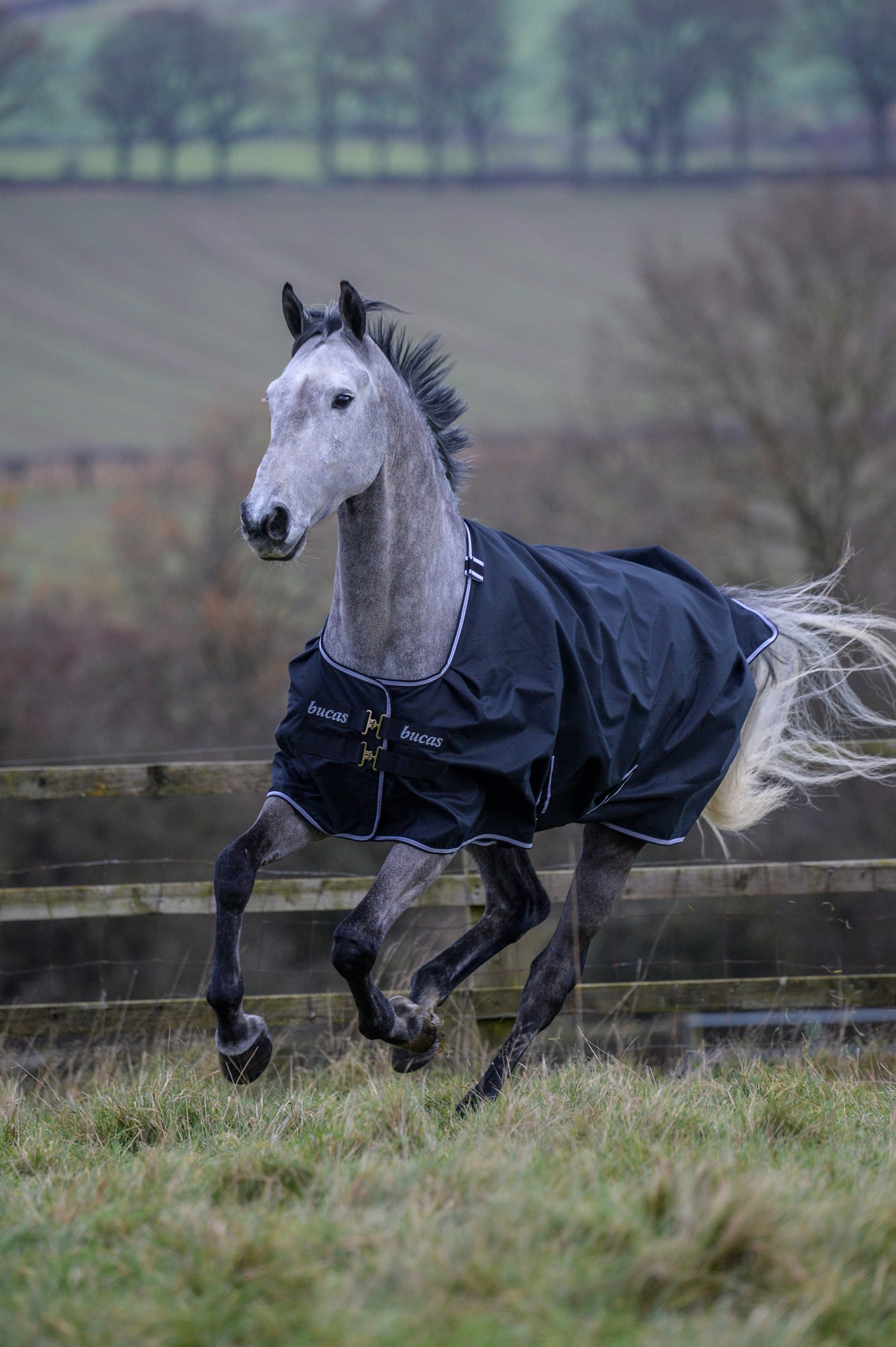 Outdoordecke Trot Turnout 50 g in Black/white