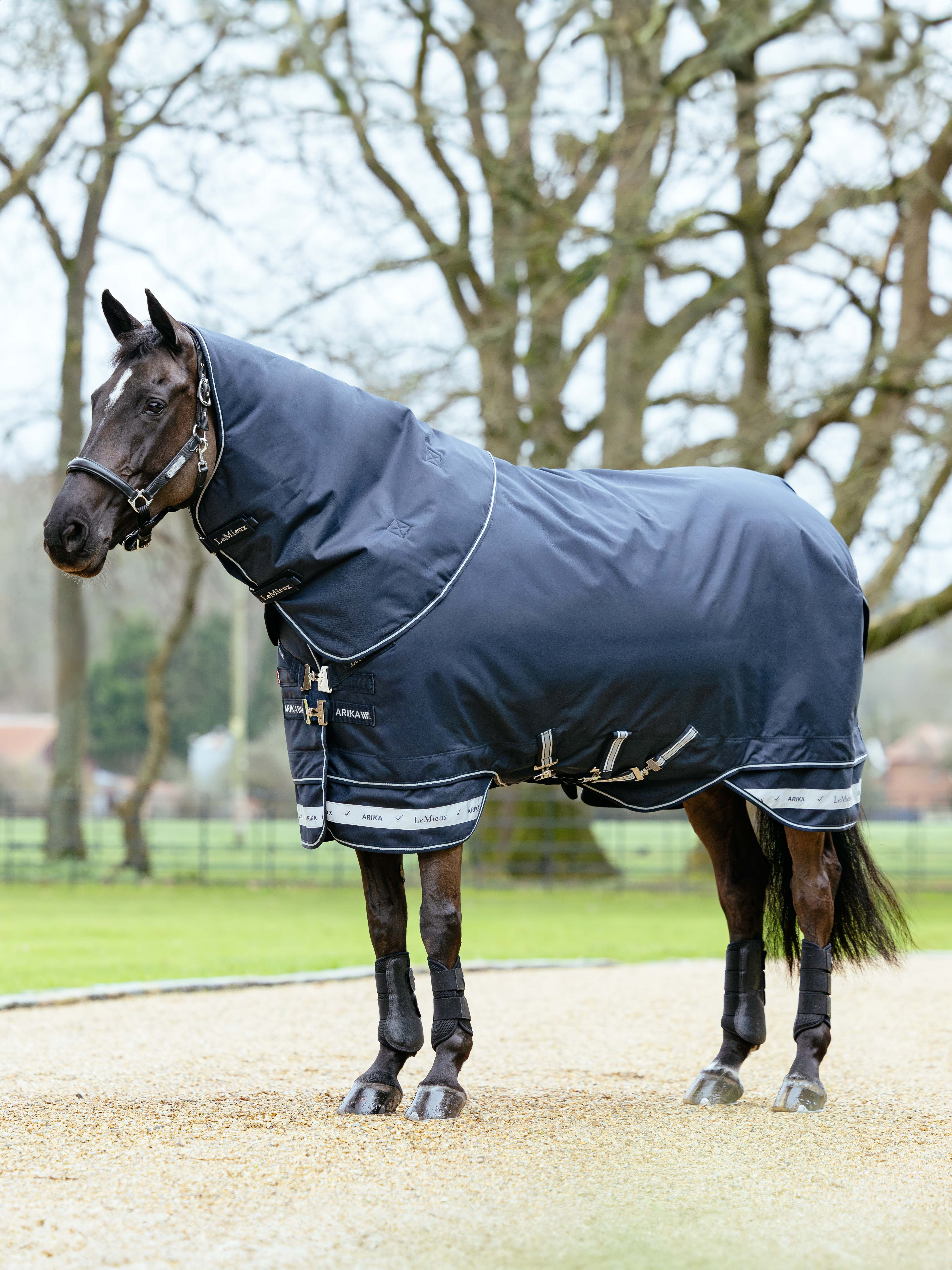 Arika Storm-Tek Weidedecke 350G