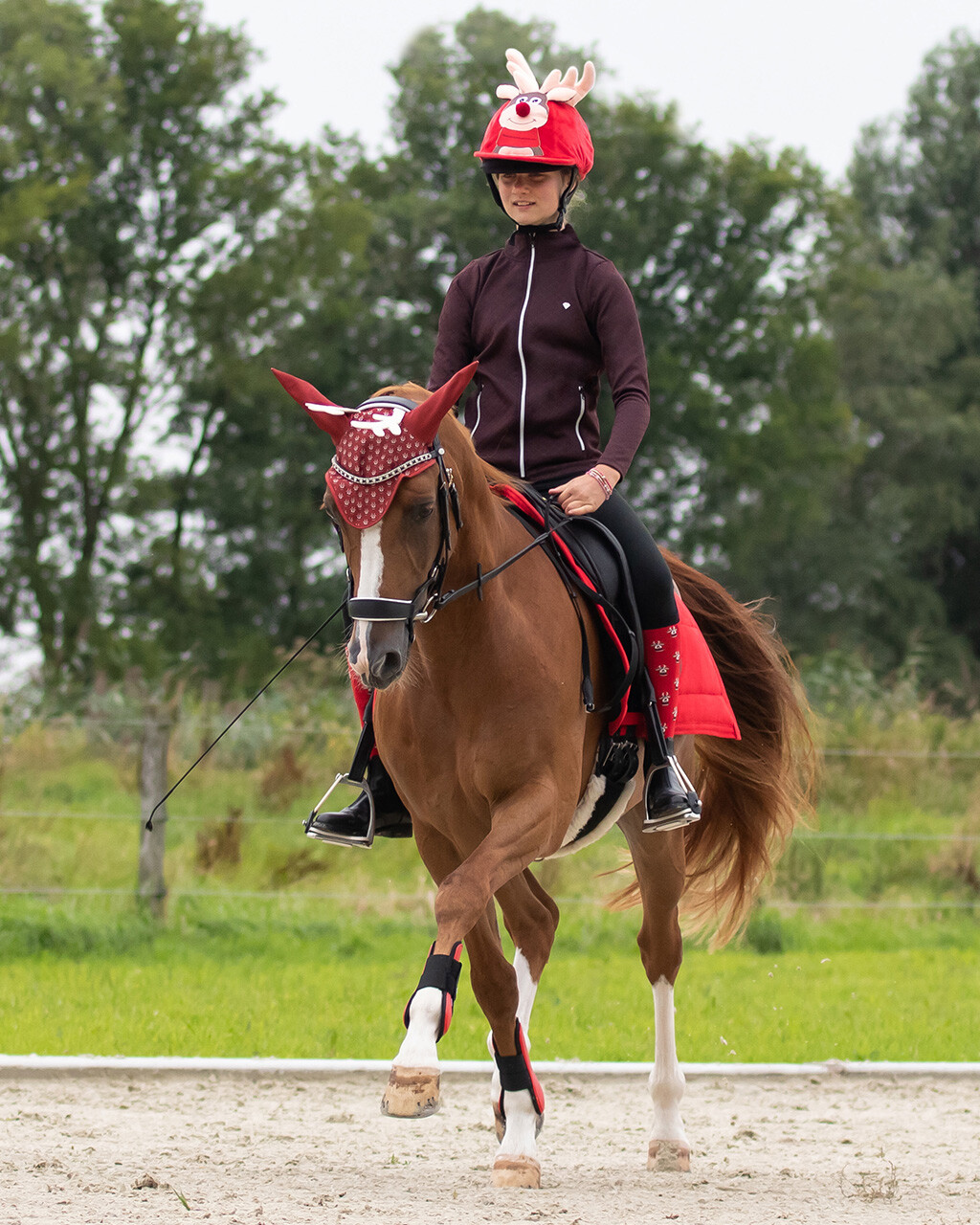 Christmas riding helmet cover