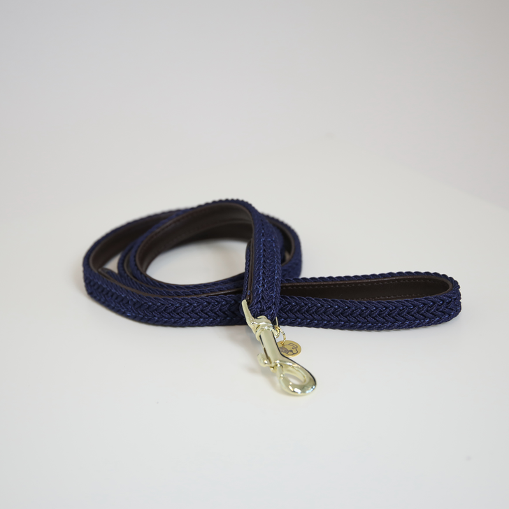 Nylon braided dog lead