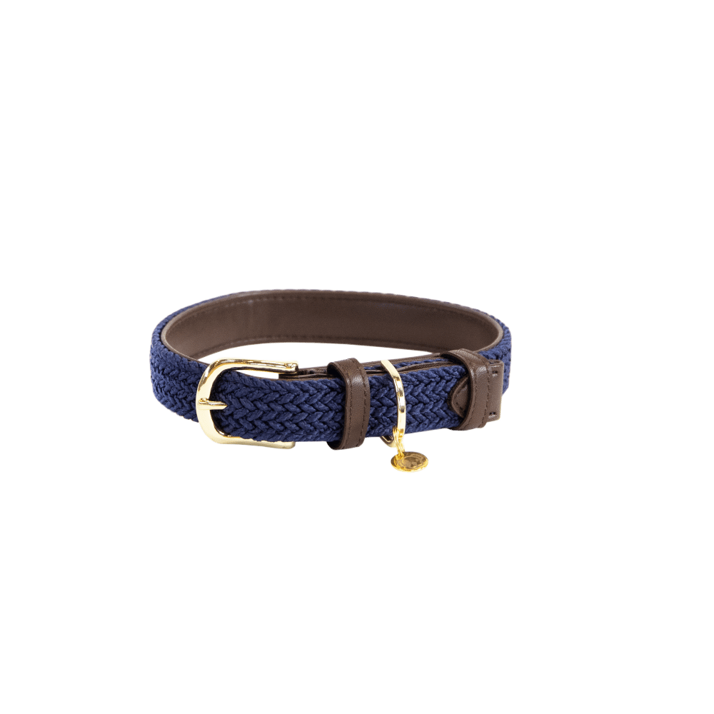 Collier de chien tressé en nylon