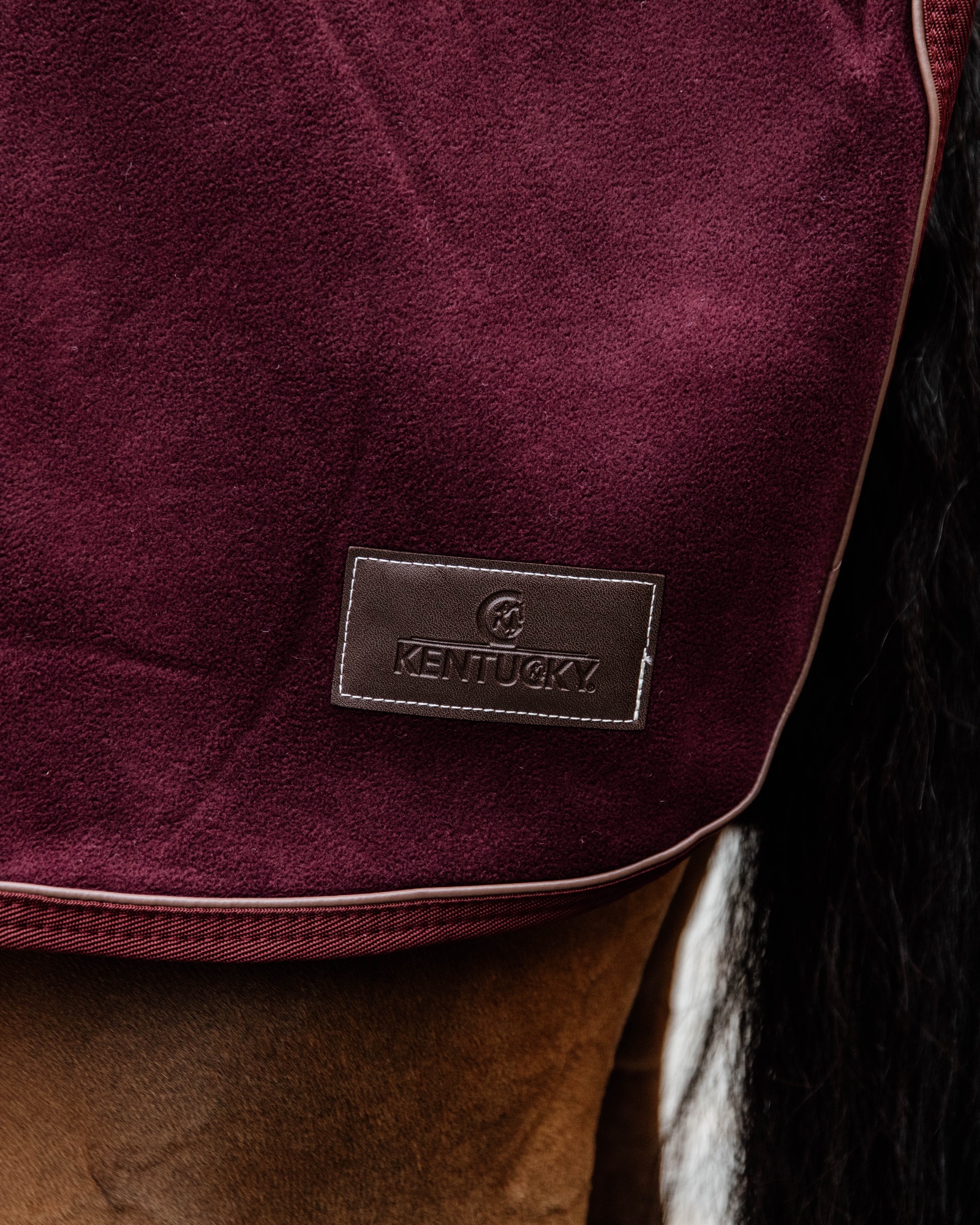 Riding rug heavy fleece