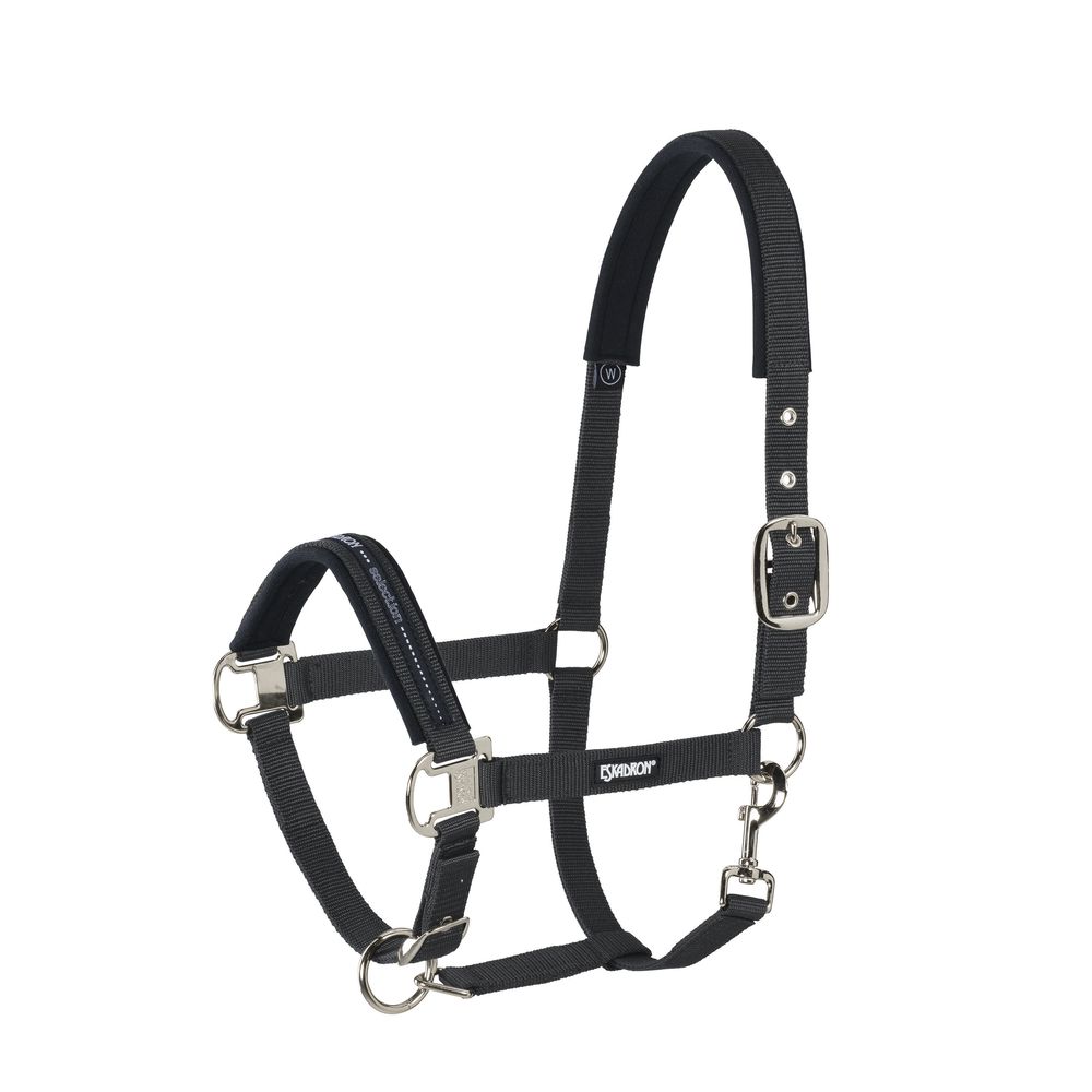 Halter Pin Buckle