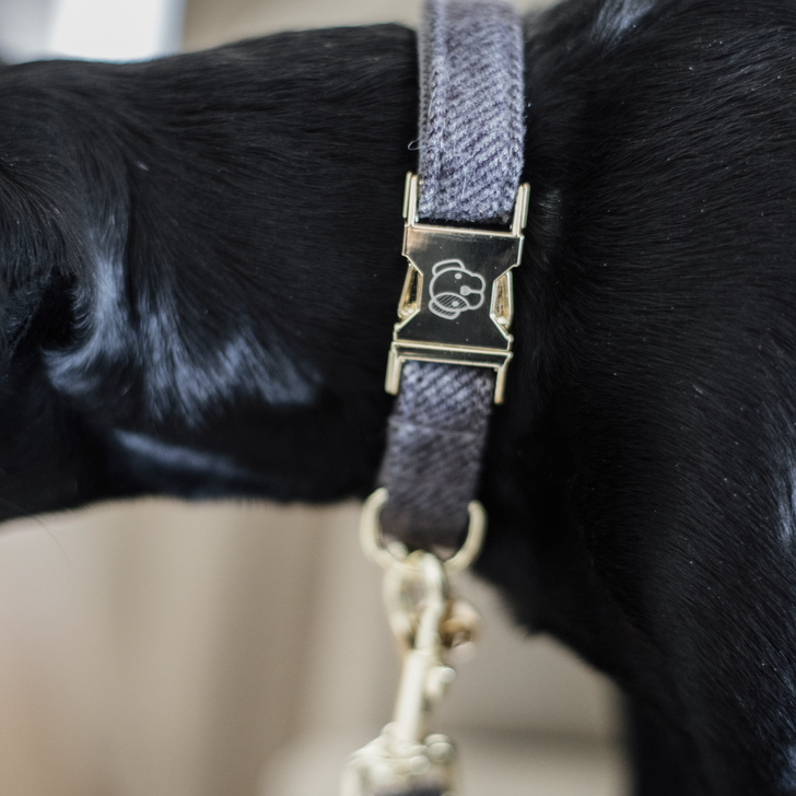 Collier de chien en laine