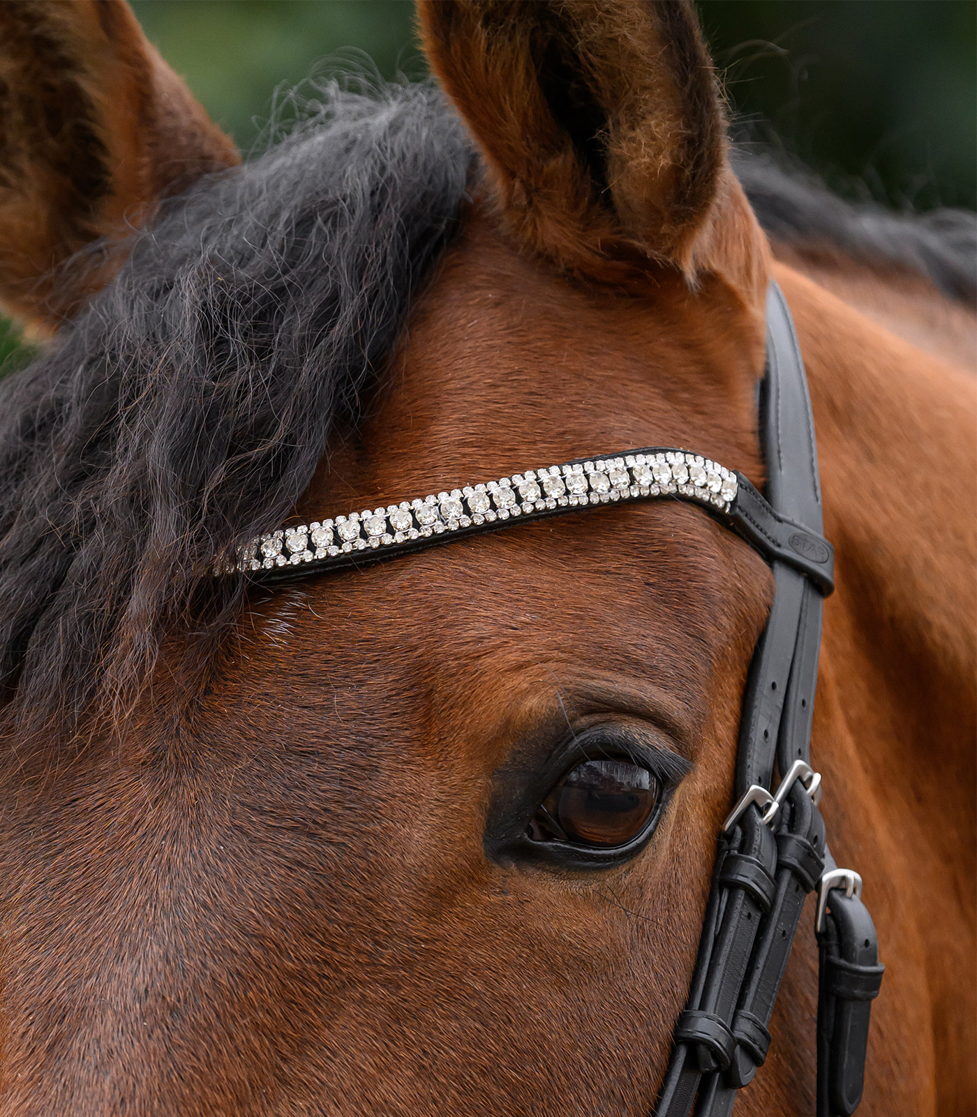browband Glitter