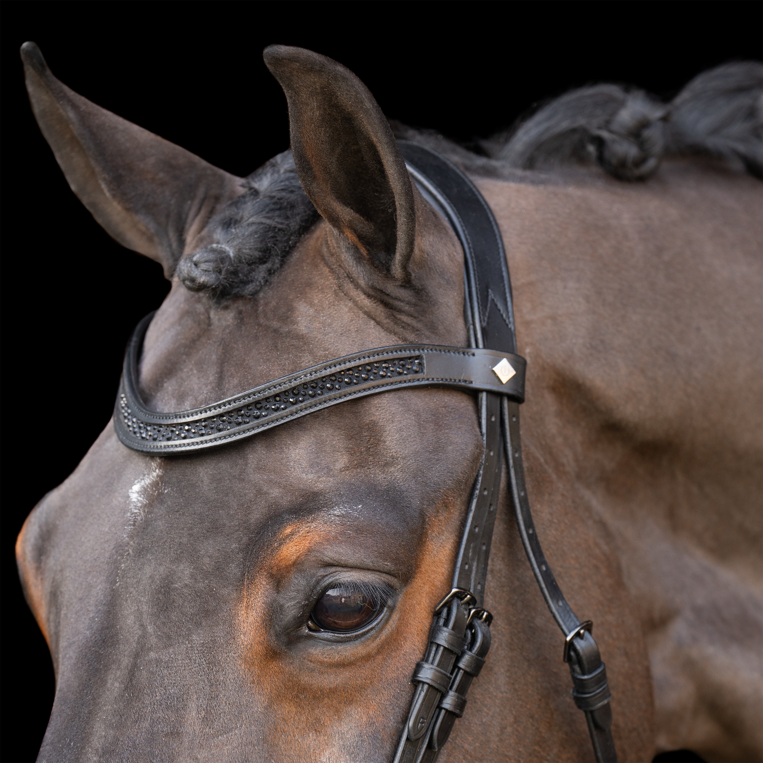 Snaffle bridle with English noseband