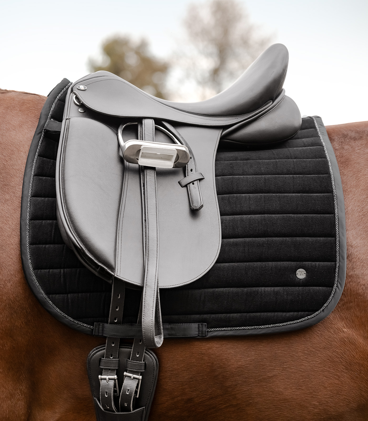 Schabracke St. Gallen