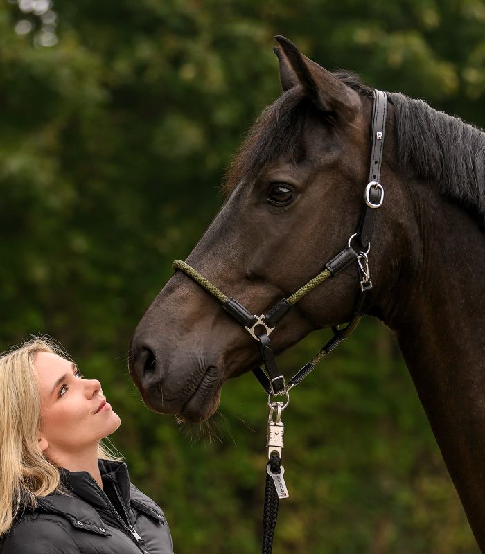 Lederhalfter X-Line Nevada