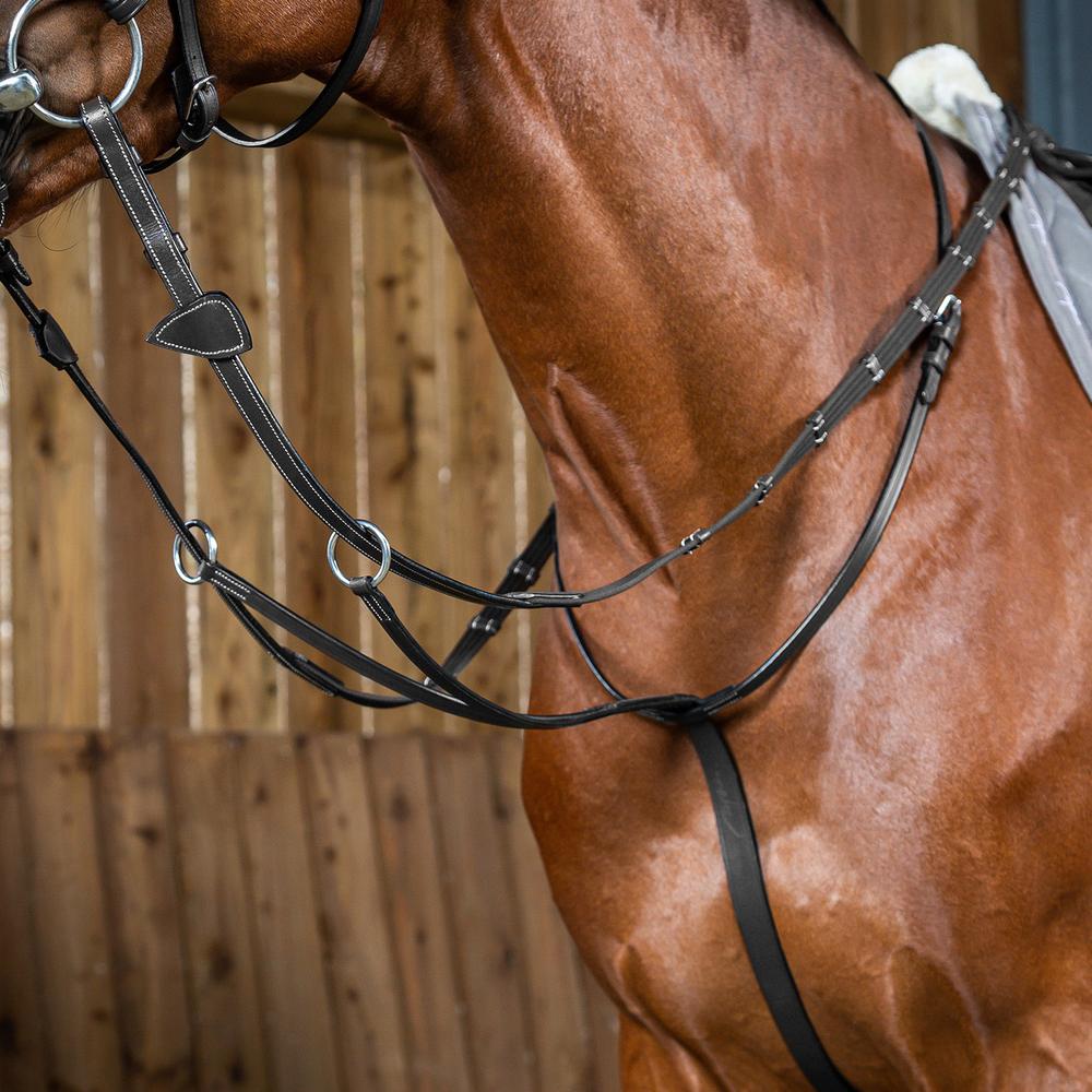 Gleitendes Ringmartingal Gleitendes Ringmartingal