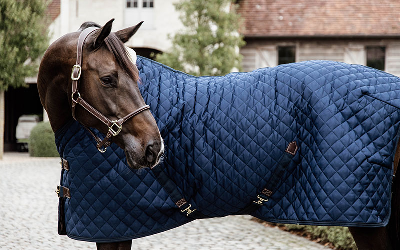 Stalldecken Pferd mit blauer Kentucky Stalldecke