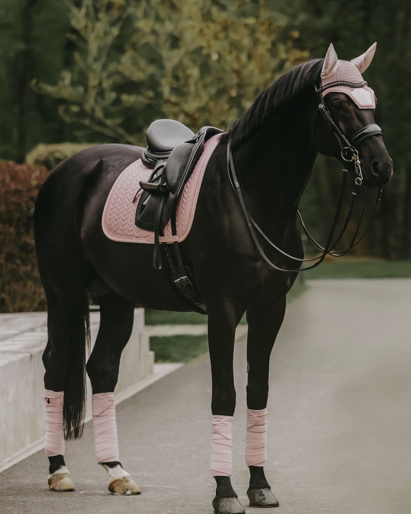 Dressage saddle pad Velvet Pearls