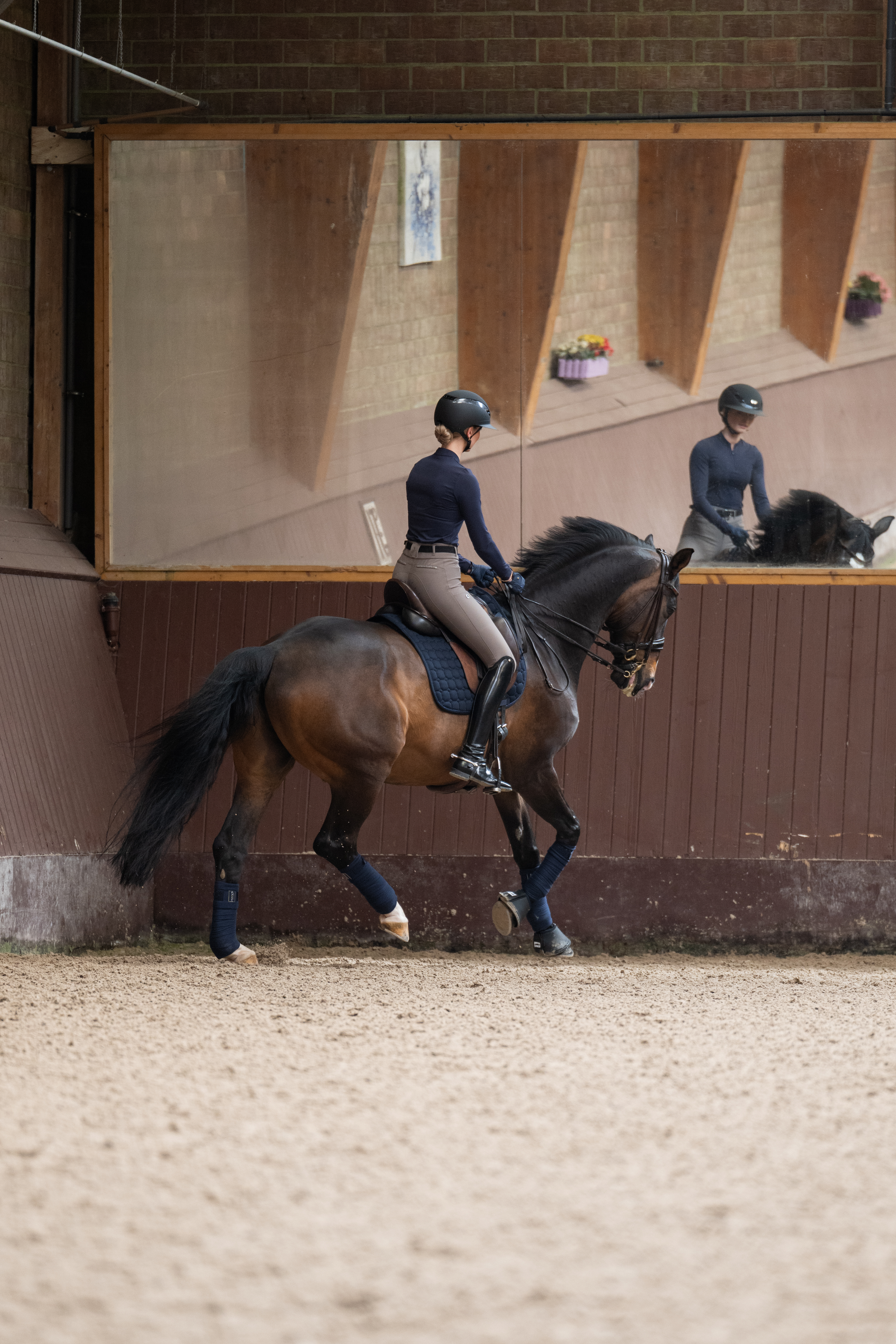Ladies riding breeches Laure Sd